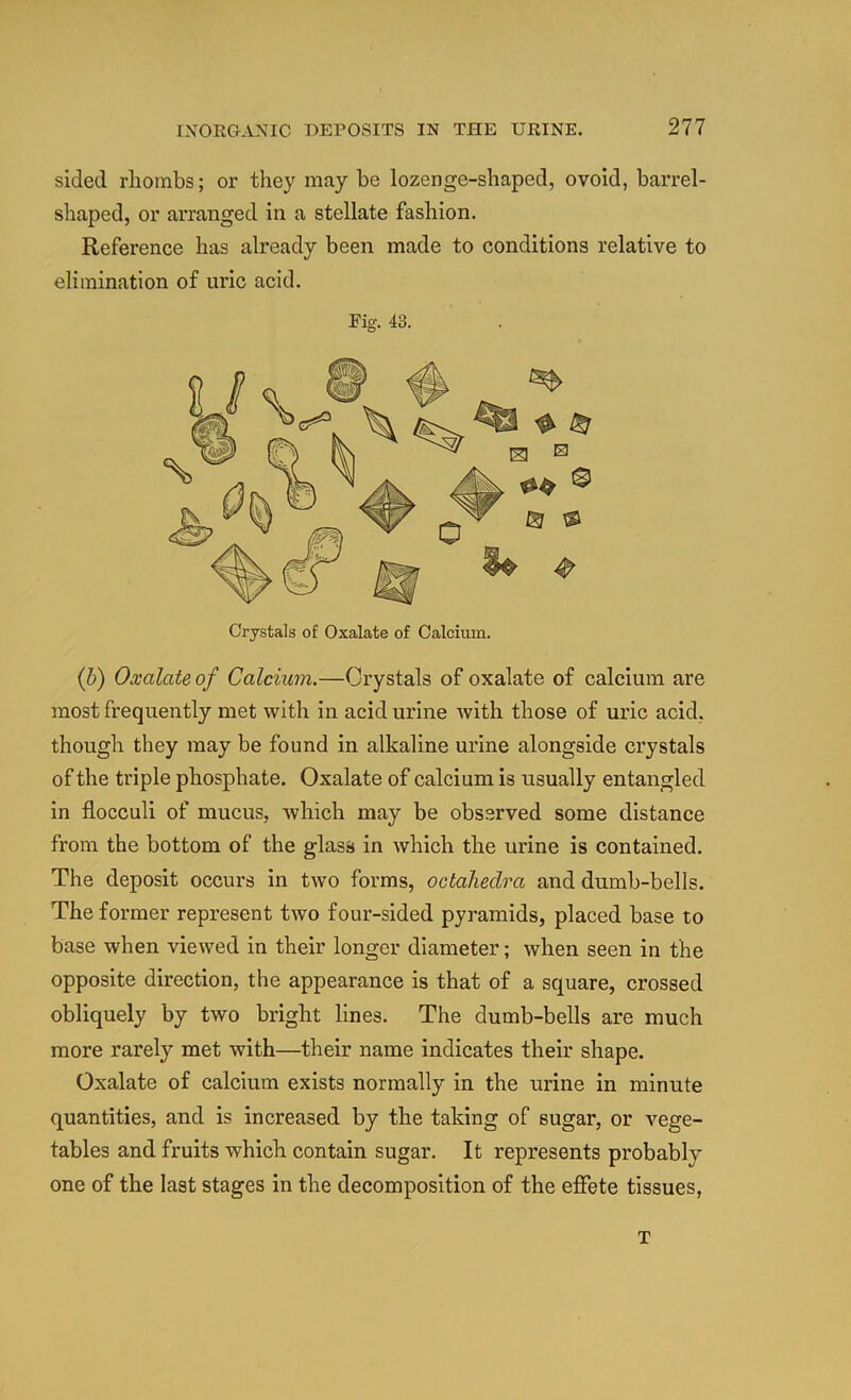 sided rhombs; or tliey may be lozenge-shaped, ovoid, barrel- shaped, or arranged in a stellate fashion. Reference has already been made to conditions relative to elimination of uric acid. Fig. 43. Crystals of Oxalate of Calcium. (b) Oxalate of Calcium.—Crystals of oxalate of calcium are most frequently met with in acid urine Avith those of uric acid, though they may be found in alkaline urine alongside crystals of the triple phosphate. Oxalate of calcium is usually entangled in flocculi of mucus, Avhich may be obs.erved some distance from the bottom of the glass in which the urine is contained. The deposit occurs in two forms, octaheclra and dumb-bells. The former represent two four-sided pyramids, placed base to base when viewed in their longer diameter; when seen in the opposite direction, the appearance is that of a square, crossed obliquely by two bright lines. The dumb-bells are much more rarely met with—their name indicates their shape. Oxalate of calcium exists normally in the urine in minute quantities, and is increased by the taking of sugar, or vege- tables and fruits which contain sugar. It represents probably one of the last stages in the decomposition of the effete tissues. T
