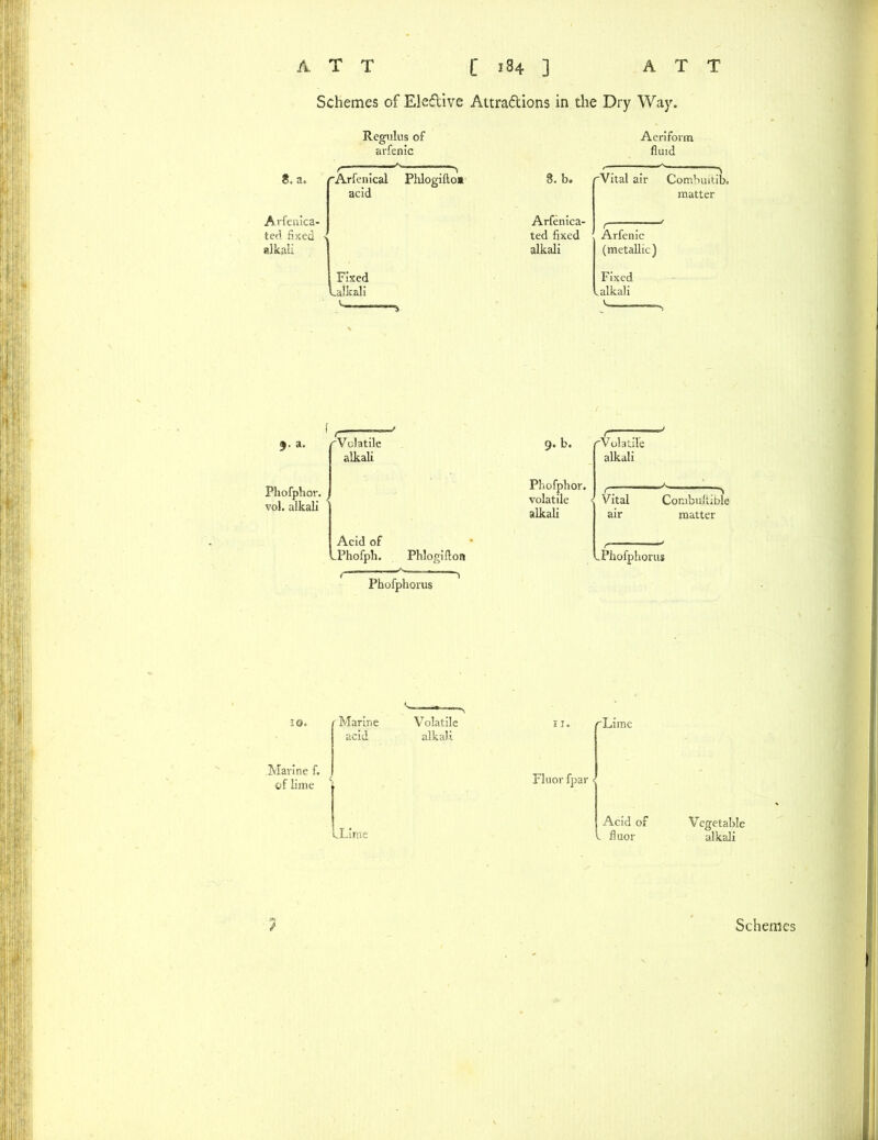 Schemes of Ele&ive Attra&ions in the Dry Way. 8. a. Arfenica- ted fixed alkali 9- a- Phofphor. vol. alkali 10. Marine f. of lime Regulus of arfenic Aeriform fluid 'Arfenical Phlogifto* 8. b. 'Vital air Combuitib. acid matter Arfenica- ted fixed . Arfenic alkali (metallic) Fixed Fixed ^alkali .alkali 'Volatile 9. b. rVolatile alkali alkali Phofphor. X volatile Vital Combuftible alkali air matter Acid of .Phofph. Phlogifton .Phofphorus Phofphorus Marine acid Volatile alkali 11. rLime Fluor fpar JLime Acid of Vegetable - fluor alkali