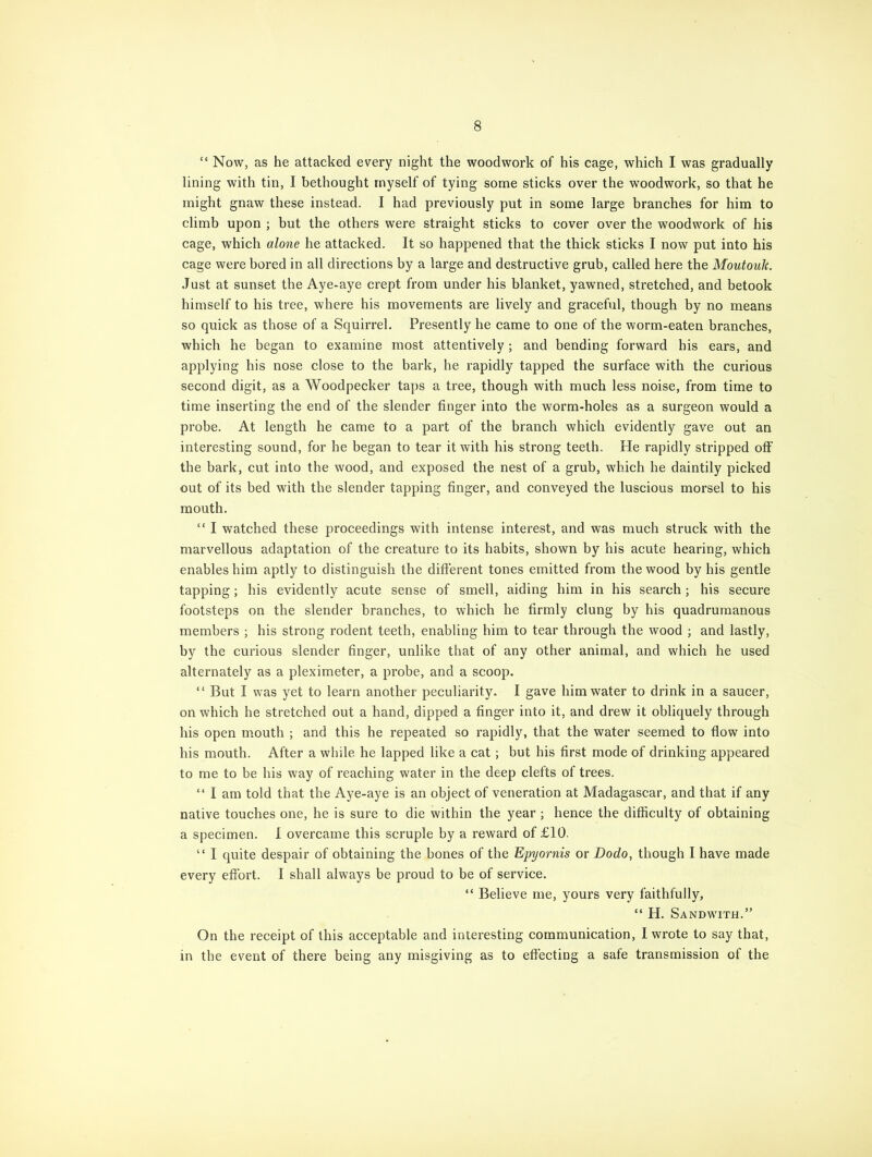 “ Now, as he attacked every night the woodwork of his cage, which I was gradually lining with tin, I bethought myself of tying some sticks over the woodwork, so that he might gnaw these instead. I had previously put in some large branches for him to climb upon ; but the others were straight sticks to cover over the woodwork of his cage, which alone he attacked. It so happened that the thick sticks I now put into his cage were bored in all directions by a large and destructive grub, called here the Moutoulc. Just at sunset the Aye-aye crept from under his blanket, yawned, stretched, and betook himself to his tree, where his movements are lively and graceful, though by no means so quick as those of a Squirrel. Presently he came to one of the worm-eaten branches, which he began to examine most attentively ; and bending forward his ears, and applying his nose close to the bark, he rapidly tapped the surface with the curious second digit, as a Woodpecker taps a tree, though with much less noise, from time to time inserting the end of the slender finger into the worm-holes as a surgeon would a probe. At length he came to a part of the branch which evidently gave out an interesting sound, for he began to tear it with his strong teeth. He rapidly stripped off the bark, cut into the wood, and exposed the nest of a grub, which he daintily picked out of its bed with the slender tapping finger, and conveyed the luscious morsel to his mouth. “ I watched these proceedings with intense interest, and was much struck with the marvellous adaptation of the creature to its habits, shown by his acute hearing, which enables him aptly to distinguish the different tones emitted from the wood by his gentle tapping; his evidently acute sense of smell, aiding him in his search ; his secure footsteps on the slender branches, to which he firmly clung by his quadrumanous members ; his strong rodent teeth, enabling him to tear through the wood ; and lastly, by the curious slender finger, unlike that of any other animal, and which he used alternately as a pleximeter, a probe, and a scoop. “ But I was yet to learn another peculiarity. I gave him water to drink in a saucer, on which he stretched out a hand, dipped a finger into it, and drew it obliquely through his open mouth ; and this he repeated so rapidly, that the water seemed to flow into his mouth. After a while he lapped like a cat ; but his first mode of drinking appeared to me to be his way of reaching water in the deep clefts of trees. “ I am told that the Aye-aye is an object of veneration at Madagascar, and that if any native touches one, he is sure to die within the year ; hence the difficulty of obtaining a specimen. I overcame this scruple by a reward of £10. “ I quite despair of obtaining the bones of the Epyornis or Dodo, though I have made every effort. I shall always be proud to be of service. “ Believe me, yours very faithfully, “ H. Sandwith.” On the receipt of this acceptable and interesting communication, I wrote to say that, in the event of there being any misgiving as to effecting a safe transmission of the
