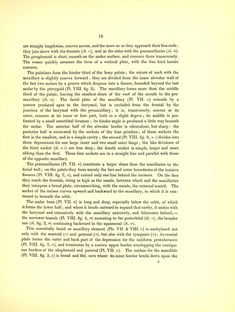 are straight lengthwise, convex across, and the more so as they approach their free ends ; they join above with the frontals (ib. n), and at the sides with the premaxillaries (ib. 22). The presphenoid is short, smooth on the under surface, and concave there transversely. The vomer quickly assumes the form of a vertical plate, with the free hind border concave. The palatines form the hinder third of the bony palate; the suture of each with the maxillary is slightly convex forward : they are divided from the inner alveolar wall of the last two molars by a groove which deepens into a fissure, bounded beyond the last molar by the pterygoid (PI. VIII. fig. 2). The maxillary forms more than the middle third of the palate, leaving the smallest share of the roof of the mouth to the pre- maxillary (ib. 22). The facial plate of the maxillary (PI. VII. 21) extends by a narrow produced apex to the lacrymal, but is excluded from the frontal by the junction of the lacrymal with the premaxillary ; it is, transversely, convex at its outer, concave at its inner or fore part, both in a slight degree ; its middle is per- forated by a small antorbital foramen ; its hinder angle is produced a little way beneath the molar. The anterior half of the alveolar border is edentulous, but sharp : the posterior half is excavated by the sockets of the four grinders ; of these sockets the first is the smallest, and is a simple cavity ; the second (PI. VIII. fig. 8, »* >) divides into three depressions for one large inner and two small outer fangs ; the like divisions of the third socket (ib. *» 2) are less deep ; the fourth socket is simple, larger and more oblong than the first. These four sockets are in a straight line and parallel with those of the opposite maxillary. The premaxillaries (PI. VII. 22) constitute a larger share than the maxillaries to the facial wall; on the palate they form merely the fore and outer boundaries of the incisive fissures (PI. VIII. fig. 2, 0), and extend only one line behind the incisors. On the face they reach the frontals, rising as high as the nasals, between which and the maxillaries they interpose a broad plate, circumscribing, with the nasals, the external nostril. The socket of the incisor curves upward and backward to the maxillary, in which it is con- tinued to beneath the orbit. The malar bone (PI. VII. 26) is long and deep, especially below the orbit, of which it forms the lower half; and where it bends outward to expand that cavity, it unites with the lacrymal and extensively with the maxillary anteriorly, and bifurcates behind,— the narrower branch (PI. VIII. fig. 4, 26) mounting to the postorbital (ib. 12), the broader one (ib. fig. 2,26) continuing backward to the squamosal (ib. 27). This essentially facial or maxillary element (Pis. VII. & VIII. 2-) is anchylosed not only with the mastoid («) and petrosal (ie), but also with the tympanic (2s); its cranial plate forms the outer and back part of the depression for the natiform protuberance (PI. VIII. fig. 5, 27), and terminates by a convex upper border overlapping the contigu- ous borders of the alisphenoid and parietal (PI. VII. 27). The surface for the mandible (PI. VIII. fig. 2, x) is broad and flat, save where its inner border bends down upon the c