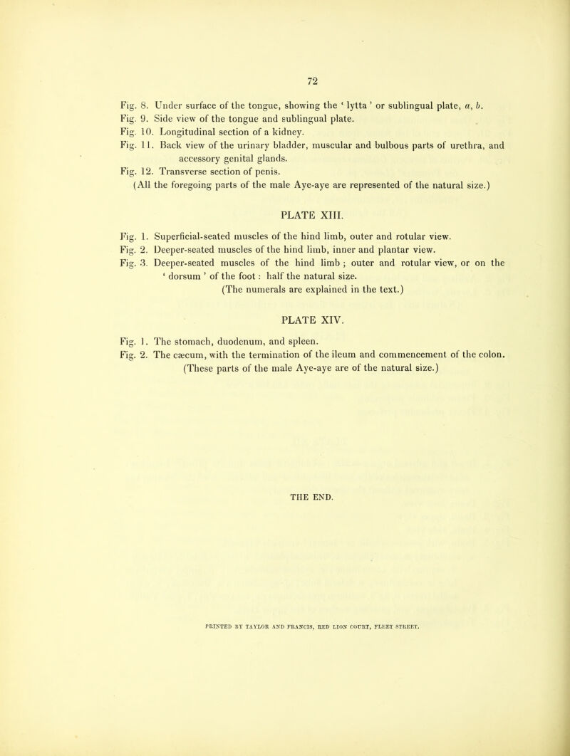 Fig. 8. Under surface of the tongue, showing the ‘ lytta ’ or sublingual plate, a, b. Fig. 9. Side view of the tongue and sublingual plate. Fig. 10. Longitudinal section of a kidney. Fig. 11. Back view of the urinary bladder, muscular and bulbous parts of urethra, and accessory genital glands. Fig. 12. Transverse section of penis. (All the foregoing parts of the male Aye-aye are represented of the natural size.) PLATE XIII. Fig. 1. Superficial-seated muscles of the hind limb, outer and rotular view. Fig. 2. Deeper-seated muscles of the hind limb, inner and plantar view. Fig. 3. Deeper-seated muscles of the hind limb ; outer and rotular view, or on the ‘ dorsum ’ of the foot: half the natural size. (The numerals are explained in the text.) PLATE XIV. Fig. 1. The stomach, duodenum, and spleen. Fig. 2. The caecum, with the termination of the ileum and commencement of the colon. (These parts of the male Aye-aye are of the natural size.) THE END. PRINTED BY TAYLOR AND FRANCIS, RED LION COURT, FLEET STREET.