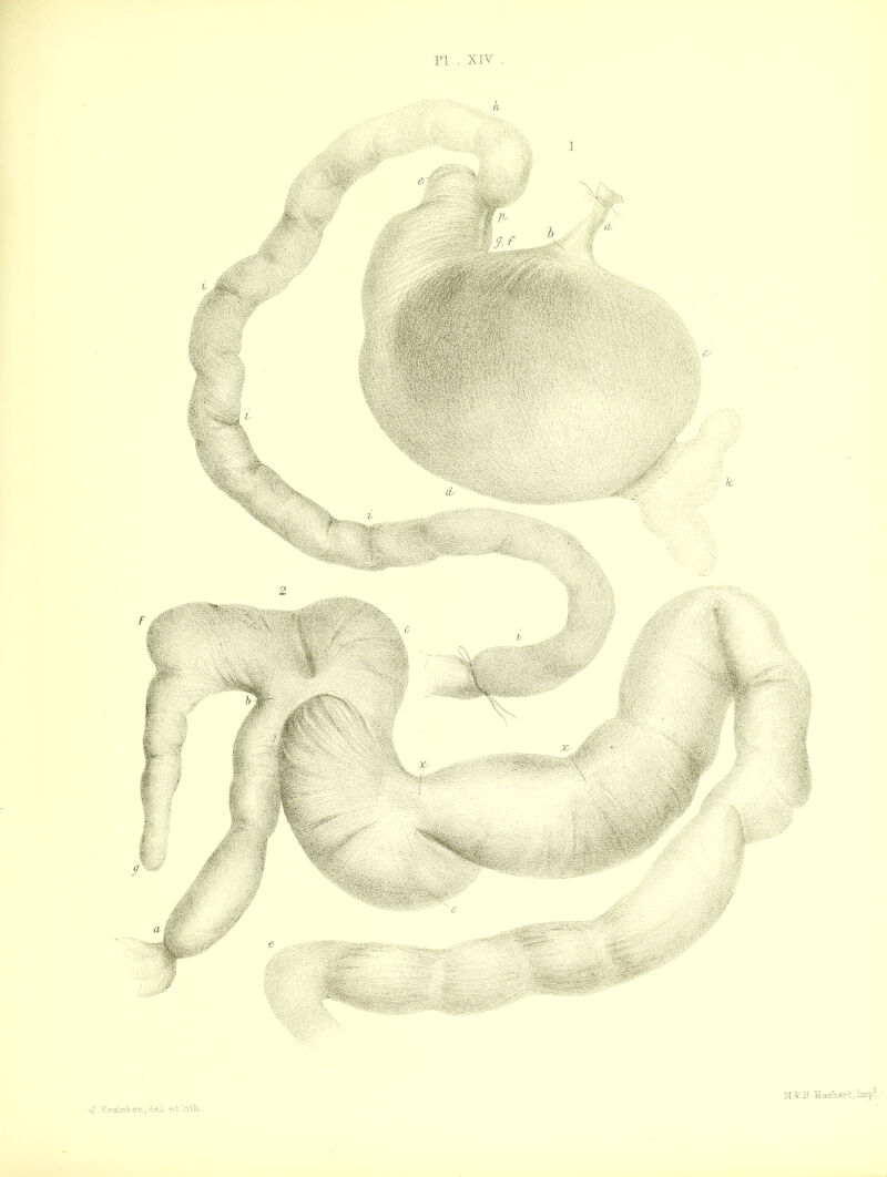 PI XIV -rj. Ir.-ry1 ebe.n, clel et Jith..