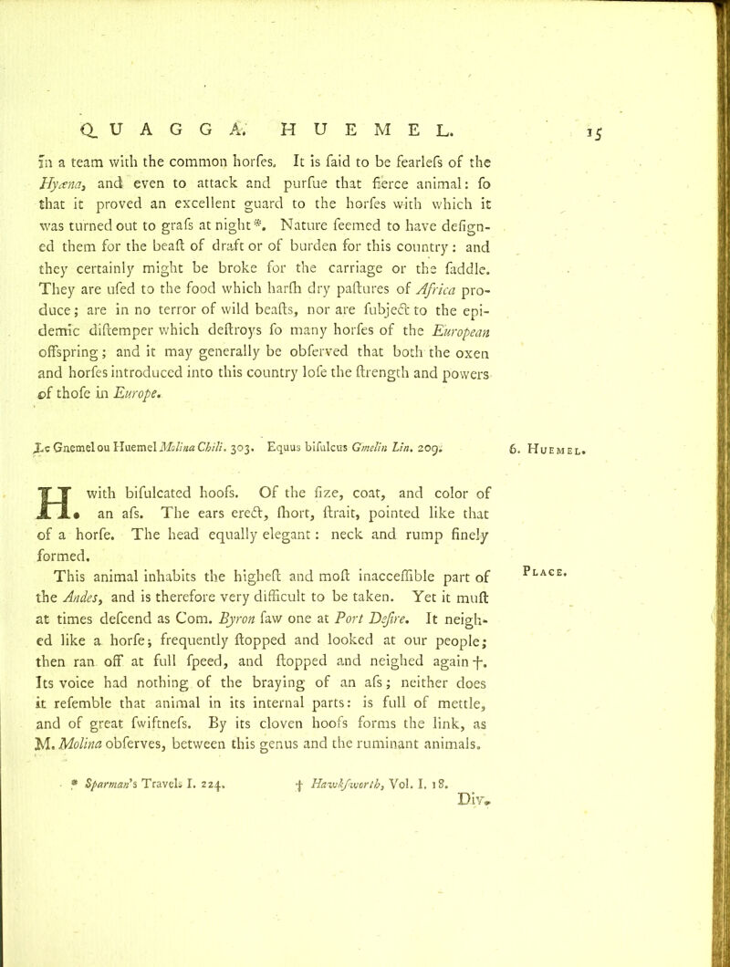 in a team with the common horfes, It is faicl to be fearlefs of the Hyana, and even to attack and purfue that fierce animal: fo that it proved an excellent guard to the horfes with which it was turned out to grafs at night*. Nature Teemed to have defign- ed them for the bead of draft or of burden for this country: and they certainly might be broke for the carriage or the faddlc. They are ufed to the food which harfh dry paftures of Africa pro- duce; are in no terror of wild beafts, nor are fubjedt to the epi- demic diftemper which deftroys fo many horfes of the European offspring; and it may generally be obferved that both the oxen and horfes introduced into this country lofe the ftrength and powers ©f thofe in Europe. £c Gaemel ou Huemel Molina Chili. 303. Equus bifulcus G'melin Lin. 209. Hwith bifulcated hoofs. Of the fize, coat, and color of • an afs. The ears eredt, fhort, ftrait, pointed like that of a horfe. The head equally elegant: neck and rump finely formed. This animal inhabits the highefc and mofl inacceflible part of the Andes, and is therefore very difficult to be taken. Yet it muft at times defcend as Com. Byron faw one at Port Defire. It neigh- ed like a horfe; frequently flopped and looked at our people; then ran off at full fpeed, and flopped and neighed again -fi. Its voice had nothing of the braying of an afs; neither does it refemble that animal in its internal parts: is full of mettle, and of great fwiftnefs. By its cloven hoofs forms the link, as M. Molina obferves, between this genus and the ruminant animals. Div, 6. Huemel. Place. * Spar man's. Travels I. 224, f Havikfworth, Vol. I. 18.
