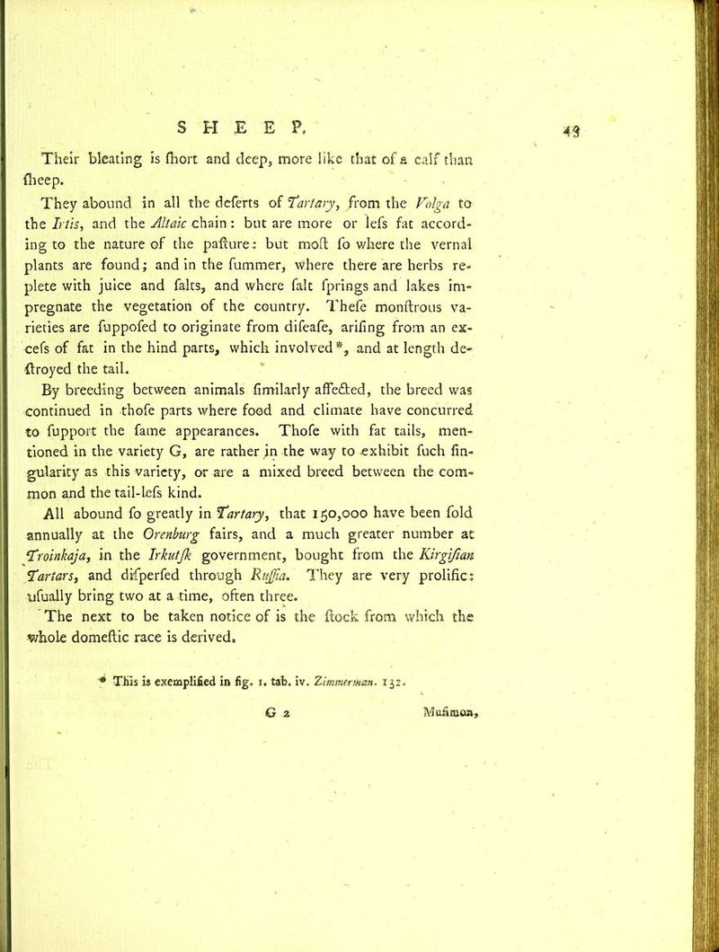 Their bleating is fhort and deep, more like that of a calf than flieep. They abound in all the deferts of 1Tartary, from the Volga to the Irtis, and the Altaic chain : but are more or lefs fat accord- ing to the nature of the pafture: but mod fo where the vernal plants are found; and in the fummer, where there are herbs re- plete with juice and fairs, and where fait fprings and lakes im- pregnate the vegetation of the country. Thefe monftrous va- rieties are fuppofed to originate from difeafe, arifing from an ex- cefs of fat in the hind parts, which involved*, and at length de- llroyed the tail. By breeding between animals fimilarly affe&ed, the breed was continued in thofe parts where food and climate have concurred to fupport the fame appearances. Thofe with fat tails, men- tioned in the variety G, are rather in the way to exhibit fuch An- gularity as this variety, or are a mixed breed between the com- mon and the tail-lefs kind. All abound fo greatly in Tartary, that 150,000 have been fold annually at the Orenburg fairs, and a much greater number at Troinkaja, in the Irkutjk government, bought from the Kir gift an. Tartars, and difperfed through RuJJia. They are very prolific: ufually bring two at a time, often three. The next to be taken notice of is the flock from which the v/hole domeftic race is derived. • This is exemplified in fig. 1. tab. iv. Zimmerman. 132. G 2 Mufimoa,