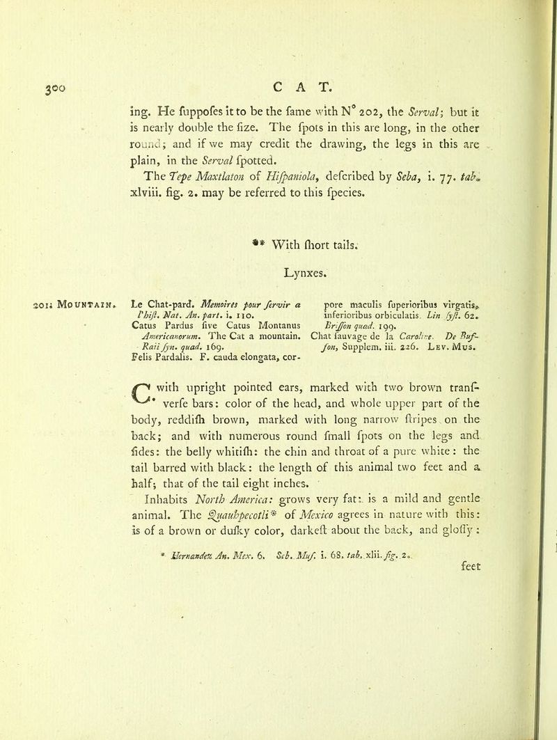ing. He fuppofes it to be the fame with N° 202, the Serval; but it is nearly double the fize. The fpots in this are long, in the other round; and if we may credit the drawing, the legs in this are plain, in the Serval fpotted. The Tepe Maxtlaton of Hifpaniola, defcribed by Seba, i. 77. taK xlviii. fig. 2. may be referred to this fpecies. With fliort tails. Lynxes. 3.0H Mountain. Le Chat-pard. Memoires four Jervir a pore maculis fuperioribus virgatis^ I'bijl. Nat. An. part. i. iio. inferioribus orbicularis Lin fyjl. 62. Catus Pardus five Catus Montanus BnJJbn quad. 199. Americanorum. The Cat a mountain. Chat iauvage de la Caroline. De Puf- Rait Jyn. quad. 169. Jon, Supplem. iii. 226. Lev. Mus. Felis Pardalis. F. cauda elongata, cor- with upright pointed ears, marked with two brown tranfi- verfe bars: color of the head, and whole upper part of the body, reddifh brown, marked with long narrow ftripes on the back; and with numerous round finall fpots on the legs and fides: the belly whitifh: the chin and throat of a pure white : the tail barred with black: the length of this animal two feet and a half; that of the tail eight inches. Inhabits North America: grows very fat:, is a mild and gentle animal. The Spuauhpecotli* of Mexico agrees in nature with this: is of a brown or dulky color, darkeft about the back, and glofly : * Hernandez An. Mex. 6. Seb. MuJ. i. 68. tab, xlii.yJV. feet