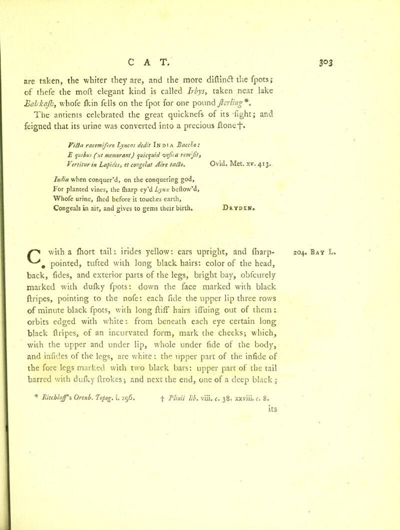 are taken, the whiter they are, and the more diftin£f the fpots; of thefe the moft elegant kind is called Irbys, taken near lake Ealckajh, whofe fkin fells on the fpot for one pound ft erling *. The antients celebrated the great quicknefs of its fight; and feigned that its urine was converted into a precious ftonei*, ViBa racemife.ro Lyncas c/edit India Baccho : E quibus (ut mernorant) quicquid <vejica rem ftt, Vertiturin Lapides, et congelat Acre tadlo. Ovid. Met. XV. 4I3° India when conquer’d, on the conquering god. For planted vines, the lharp ey’d Lynx bellow’d, Whofe urine, Hied before it touches earth. Congeals in air, and gives to gems their birth, Dryden, f'y with a fhort tail: irides yellow: ears upright, and fharp- 204. Bay L. pointed, tufted with long black hairs: color of the head, back, fides, and exterior parts of the legs, bright bay, obfcurely marked with dufky fpots: down the face marked with black flripes, pointing to the nofe: each fide the upper lip three rows of minute black fpots, with long ftiff hairs iffuing out of them: orbits edged with white: from beneath each eye certain long black ftripes, of an incurvated form, mark the cheeks; which, with the upper and under lip, whole under fide of the body, and infides of the legs, are white: the upper part of the infide of the fore legs marked with two black bars: upper part of the tail barred with dulky ftrokes; and next the end, one of a deep black; its