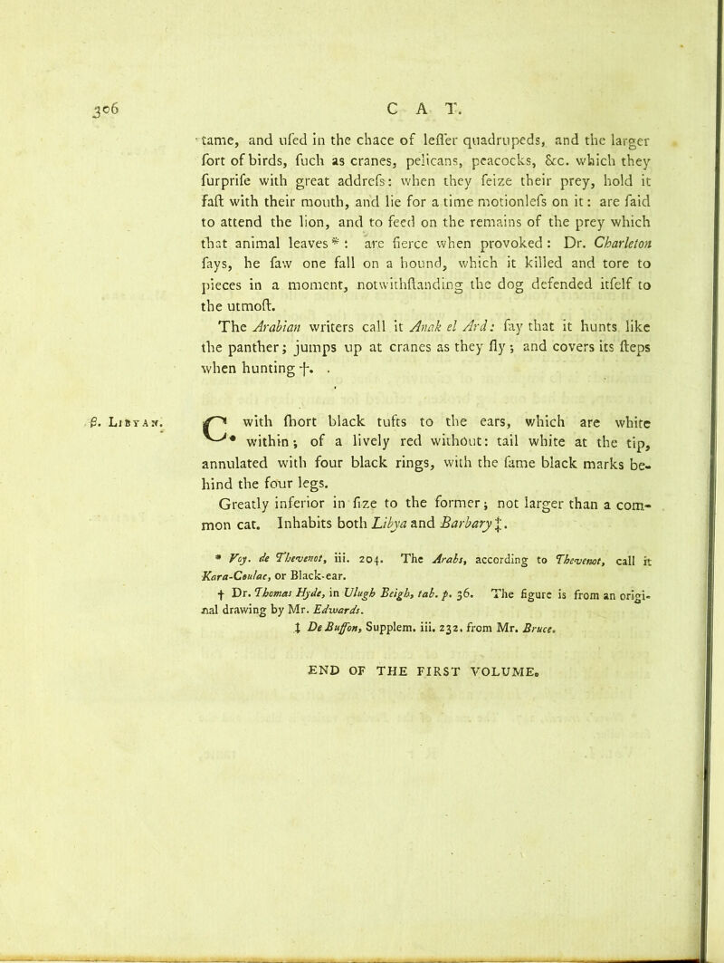 • tame, and ufed in the chace of lefl'er quadrupeds, and the larger fort of birds, fuch as cranes, pelicans, peacocks, Sec. which they furprife with great addrefs: when they feize their prey, hold it fall with their mouth, and lie for a time motionlefs on it: are faid to attend the lion, and to feed on the remains of the prey which that animal leaves * : are fierce when provoked : Dr. Charleton fays, he faw one fall on a hound, which it killed and tore to pieces in a moment, notwithftandinjg the dog defended itfelf to the utmofl. The Arabian writers call it Anak el Ard: fay that it hunts like the panther; jumps up at cranes as they fly ; and covers its fteps when hunting f. . &. List a*. with fhort black tufts to the ears, which are white within-, of a lively red without: tail white at the tip, annulated with four black rings, with the fame black marks be- hind the four legs. Greatly inferior in flze to the former; not larger than a com- mon cat. Inhabits both Libya and Barbary j. * Voy. de Tbevenot, iii. 204. The Arabs, according to Tbevenot, call it Kara-Coulae, or Black-ear. f Dr. Thomas Hyde, in Ulugh Beigh, tab. p. 36. The figure is from an origi- nal drawing by Mr. Edwards. X DeBuffott, Supplem. iii. 232. from Mr. Bruce. END OF THE FIRST VOLUME,