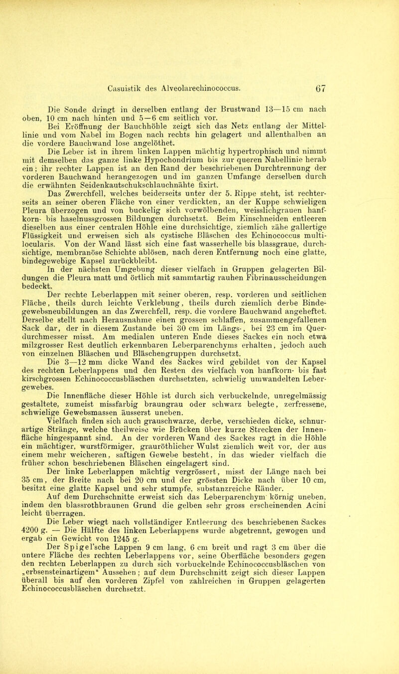 Die Sonde dringt in derselben entlang der Brustwand 13—15 cm nach oben, 10 cm nach hinten und 5 — 6 cm seitlich vor. Bei Eröffnung der Bauchhöhle zeigt sich das Netz entlang der Mittel- linie und vom Nabel im Bogen nach rechts hin gelagert und allenthalben an die vordere Bauchwand lose angelöthet. Die Leber ist in ihrem linken Lappen mächtig hypertrophisch und nimmt mit demselben das ganze linke Hypochondrium bis zur queren Nabellinie herab ein; ihr rechter Lappen ist an den Rand der beschriebenen Durchtrennung der vorderen Bauchwand herangezogen und im ganzen Umfange derselben durch die erwähnten Seidenkautschukschlauchnähte fixirt. Das Zwerchfell, welches beiderseits unter der 5. Rippe steht, ist rechter- seits an seiner oberen Fläche von einer verdickten, an der Kuppe schwieligen Pleura überzogen und von buckelig sich vorwölbenden, weisslichgrauen hanf- korn- bis haselnussgrossen Bildungen durchsetzt. Beim Einschneiden entleeren dieselben aus einer centralen Höhle eine durchsichtige, ziemlich zähe gallertige Flüssigkeit und erweisen sich als cystische Bläschen des Echinococcus multi- locularis. Von der Wand lässt sich eine fast wasserhelle bis blassgraue, durch- sichtige, membranöse Schichte ablösen, nach deren Entfernung noch eine glatte, bindegewebige Kapsel zurückbleibt. In der nächsten Umgebung dieser vielfach in Gruppen gelagerten Bil- dungen die Pleura matt und örtlich mit sammtartig rauhen Fibrinausscheidungen bedeckt. Der rechte Leberlappen mit seiner oberen, resp. vorderen und seitlichen Fläche, theils durch leichte Verklebung, theils durch ziemlich derbe Binde- gewebsneubildungen an das Zwerchfell, resp. die vordere Bauchwand angeheftet. Derselbe stellt nach Herausnahme einen grossen schlaffen, zusammengefallenen Sack dar, der in diesem Zustande bei 30 cm im Längs-, bei 23 cm im Quer- durchmesser misst. Am medialen unteren Ende dieses Sackes ein noch etwa milzgrosser Rest deutlich erkennbaren Leberparenchyms erhalten, jedoch auch von einzelnen Bläschen und Bläschen gruppen durchsetzt. Die 3—12 mm dicke Wand des Sackes wird gebildet von der Kapsel des rechten Leberlappens und den Resten des vielfach von hanfkorn- bis fast kirschgrossen Echinococcusbläschen durchsetzten, schwielig umwandelten Leber- gewebes. Die Innenfläche dieser Höhle ist durch sich verbuckelnde, unregelmässig gestaltete, zumeist missfarbig braungrau oder schwarz belegte, zerfressene, schwielige Gewebsmassen äusserst uneben. Vielfach finden sich auch grauschwarze, derbe, verschieden dicke, schnur- artige Stränge, welche theilweise wie Brücken über kurze Strecken der Innen- fläche hingespannt sind. An der vorderen Wand des Sackes ragt in die Höhle ein mächtiger, wurstförmiger, grauröthlicher Wulst ziemlich weit vor, der aus einem mehr weicheren, saftigen Gewebe besteht, in das wieder vielfach die früher schon beschriebenen Bläschen eingelagert sind. Der linke Leberlappen mächtig vergrössert, misst der Länge nach bei 35 cm, der Breite nach bei 20 cm und der grössten Dicke nach über 10 cm, besitzt eine glatte Kapsel und sehr stumpfe, substanzreiche Ränder. Auf dem Durchschnitte erweist sich das Leberparenchym' körnig uneben, indem den blassrothbraunen Grund die gelben sehr gross erscheinenden Acini leicht überragen. Die Leber wiegt nach vollständiger Entleerung des beschriebenen Sackes 4200 g. — Die Hälfte des linken Leberlappens wurde abgetrennt, gewogen und ergab ein Gewicht von 1245 g. Der Spigel’sche Lappen 9 cm lang, 6 cm breit und ragt 3 cm über die untere Fläche des rechten Leberlappens vor, seine Oberfläche besonders gegen den rechten Leberlappen zu durch sich vorbuckelnde Echinococcusbläschen von „erbsensteinartigem“ Aussehen; auf dem Durchschnitt zeigt sich dieser Lappen überall bis auf den vorderen Zipfel von zahlreichen in Gruppen gelagerten Echinococcusbläschen durchsetzt.