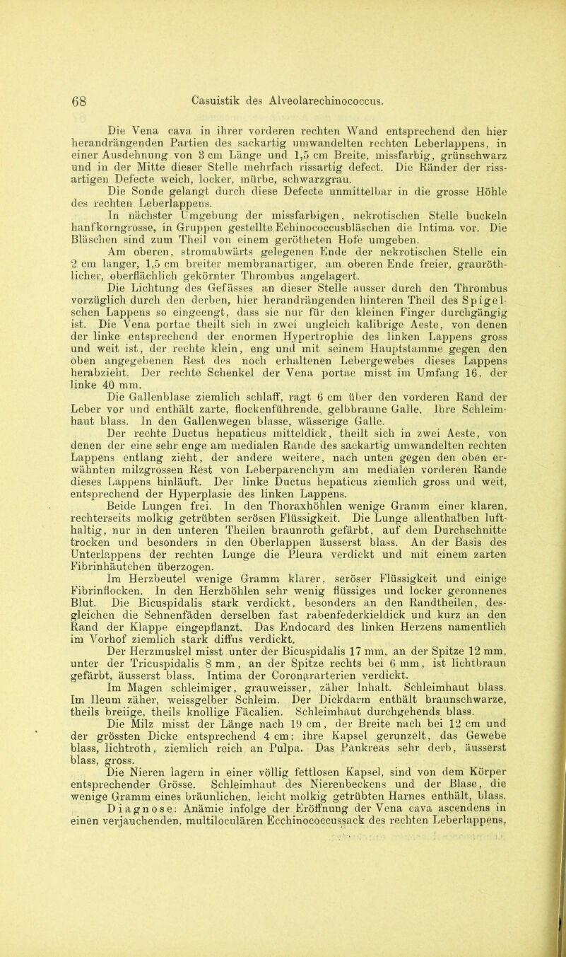 Die Vena cava in ihrer vorderen rechten Wand entsprechend den hier herandrängenden Partien des sackartig uni wandelten rechten Leberlappens, in einer Ausdehnung von Bern Länge und 1,5 cm Breite, missfarbig, grünschwarz und in der Mitte dieser Stelle mehrfach rissartig defect. Die Ränder der riss- artigen Def'ecte weich, locker, mürbe, schwarzgrau. Die Sonde gelangt durch diese Defecte unmittelbar in die grosse Höhle des rechten Leberlappens. In nächster Umgebung der missfarbigen, nekrotischen Stelle buckeln hanfkorngrosse, in Gruppen gestellte,Echinococcusbläschen die Intima vor. Die Bläschen sind zum Theil von einem gerötheten Hofe umgeben. Am oberen, stromabwärts gelegenen Ende der nekrotischen Stelle ein 2 cm langer, 1,5 cm breiter membranartiger, am oberen Ende freier, grauröth- licher, oberflächlich gekörnter Thrombus angelagert. Die Lichtung des Gefässes an dieser Stelle ausser durch den Thrombus vorzüglich durch den derben, hier herandrängenden hinteren Theil des Spigel- schen Lappens so eingeengt, dass sie nur für den kleinen Finger durchgängig ist. Die Vena portae theilt sich in zwei ungleich kalibrige Aeste, von denen der linke entsprechend der enormen Hypertrophie des linken Lappens gross und weit ist, der rechte klein, eng und mit seinem Hauptstamme gegen den oben angegebenen Rest des noch erhaltenen Lebergewebes dieses Lappens herabzieht. Der rechte Schenkel der Vena portae misst im Umfang 16, der linke 40 mm. Die Gallenblase ziemlich schlaff, ragt 6 cm über den vorderen Rand der Leber vor und enthält zarte, flockenführende, gelbbraune Galle. Ihre Schleim- haut blass. In den Gallenwegen blasse, wässerige Galle. Der rechte Ductus hepaticus mitteldick, theilt sich in zwei Aeste, von denen der eine sehr enge am medialen Rande des sackartig um wandelten rechten Lappens entlang zieht, der andere weitere, nach unten gegen den oben er- wähnten milzgrossen Rest von Leberparenchym am medialen vorderen Rande dieses Lappens hinläuft. Der linke Ductus hepaticus ziemlich gross und weit, entsprechend der Hyperplasie des linken Lappens. Beide Lungen frei. In den Thoraxhöhlen wenige Gramm einer klaren, rechterseits molkig getrübten serösen Flüssigkeit. Die Lunge allenthalben luft- haltig, nur in den unteren Theilen braunroth gefärbt, auf dem Durchschnitte trocken und besonders in den Oberlappen äusserst blass. An der Basis des Unterlappens der rechten Lunge die Pleura verdickt und mit einem zarten Fibrinhäutchen überzogen. Im Herzbeutel wenige Gramm klarer, seröser Flüssigkeit und einige Fibrinflocken. In den Herzhöhlen sehr wenig flüssiges und locker geronnenes Blut. Die Bicuspidalis stark verdickt , besonders an den Randtheilen, des- gleichen die Sehnenfäden derselben fast rabenfederkieldick und kurz an den Rand der Klappe eingepflanzt. Das Endocard des linken Herzens namentlich im Vorhof ziemlich stark diffus verdickt. Der Herzmuskel misst unter der Bicuspidalis 17 mm, an der Spitze 12 mm, unter der Tricuspidalis 8 mm, an der Spitze rechts bei 6 mm, ist lichtbraun gefärbt, äusserst blass. Intima der Coron^irarterien verdickt. Im Magen schleimiger, grauweisser, zäher Inhalt. Schleimhaut blass. Im Ileum zäher, weissgelber Schleim. Der Dickdarm enthält braunschwarze, theils breiige, theils knollige Fäcalien. Schleimhaut durchgehends blass. Die Milz misst der Länge nach 19 cm, der Breite nach bei 12 cm und der grössten Dicke entsprechend 4 cm; ihre Kapsel gerunzelt, das Gewebe blass, lichtroth, ziemlich reich an Pulpa. Das Pankreas sehr derb, äusserst blass, gross. Die Nieren lagern in einer völlig fettlosen Kapsel, sind von dem Körper entsprechender Grösse. Schleimhaut des Nierenbeckens und der Blase, die wenige Gramm eines bräunlichen, leicht molkig getrübten Harnes enthält, blass. Diagnose: Anämie infolge der Eröffnung der Vena cava ascendens in einen verjauchenden, multiloculären Ecchinococcussack des rechten Leberlappens,