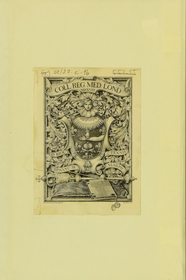 digitised image 2