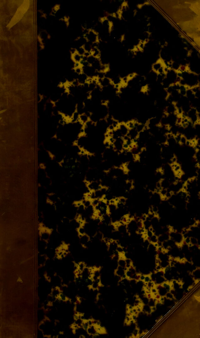 digitised image 1