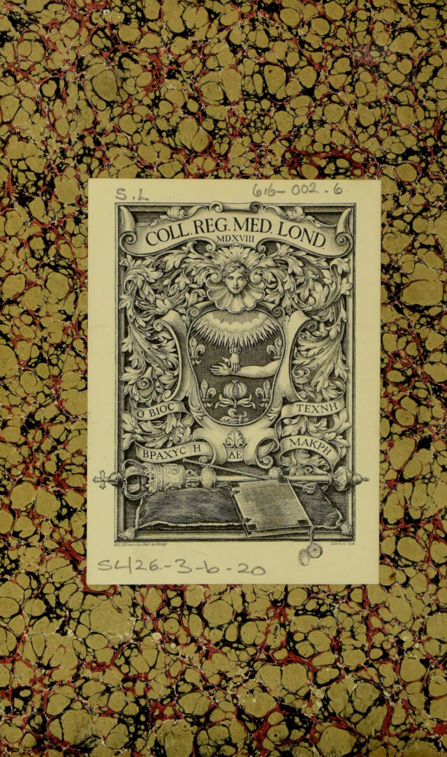 digitised image 2