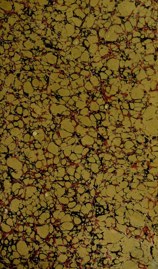 digitised image 3