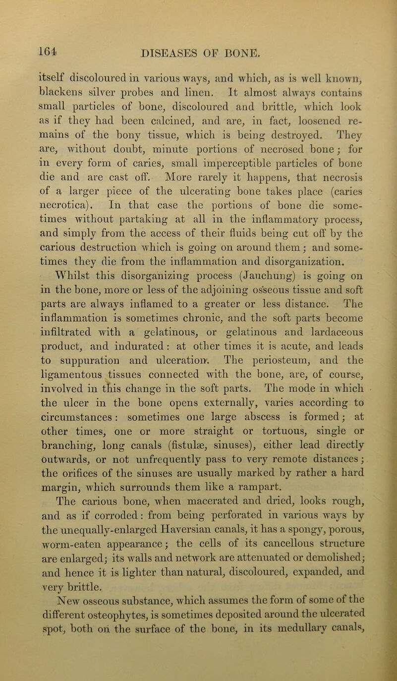 itself discoloured in various ways, and which, as is well known, blackens silver probes and linen. It almost always contains small particles of bone, discoloured and brittle, which look as if they had been calcined, and are, in fact, loosened re- mains of the bony tissue, which is being destroyed. They are, without doubt, minute portions of necrosed bone; for in every form of caries, small imperceptible particles of bone die and are cast off. More rarely it happens, that necrosis of a larger piece of the ulcerating bone takes place (caries necrotica). In that case the portions of bone die some- times without partaking at all in the inflammatory process, and simply from the access of their fluids being cut off by the carious destruction which is going on around them; and some- times they die from the inflammation and disorganization. Whilst this disorganizing process (Jauchung) is going on in the bone, more or less of the adjoining osseous tissue and soft parts are always inflamed to a greater or less distance. The inflammation is sometimes chronic, and the soft parts become infiltrated with a gelatinous, or gelatinous and lardaceous product, and indurated : at other times it is acute, and leads to suppuration and ulceration. The periosteum, and the ligamentous tissues connected with the bone, are, of course, involved in this change in the soft parts. The mode in which the ulcer in the bone opens externally, varies according to circumstances: sometimes one large abscess is formed; at other times, one or more straight or tortuous, single or branching, long canals (fistulae, sinuses), either lead directly outwards, or not unfrequently pass to very remote distances; the orifices of the sinuses are usually marked by rather a hard margin, which surrounds them like a rampart. The carious bone, when macerated and dried, looks rough, and as if corroded: from being perforated in various ways by the unequally-enlarged Haversian canals, it has a spongy, porous, worm-eaten appearance; the eeUs of its cancellous structure are enlarged; its walls and network are attenuated or demolished; and hence it is lighter than natural, discoloured, expanded, and very brittle. New osseous substance, which assumes the form of some of the different osteophytes, is sometimes deposited around the ulcerated spot, both on the surface of the bone, in its medullary canals.