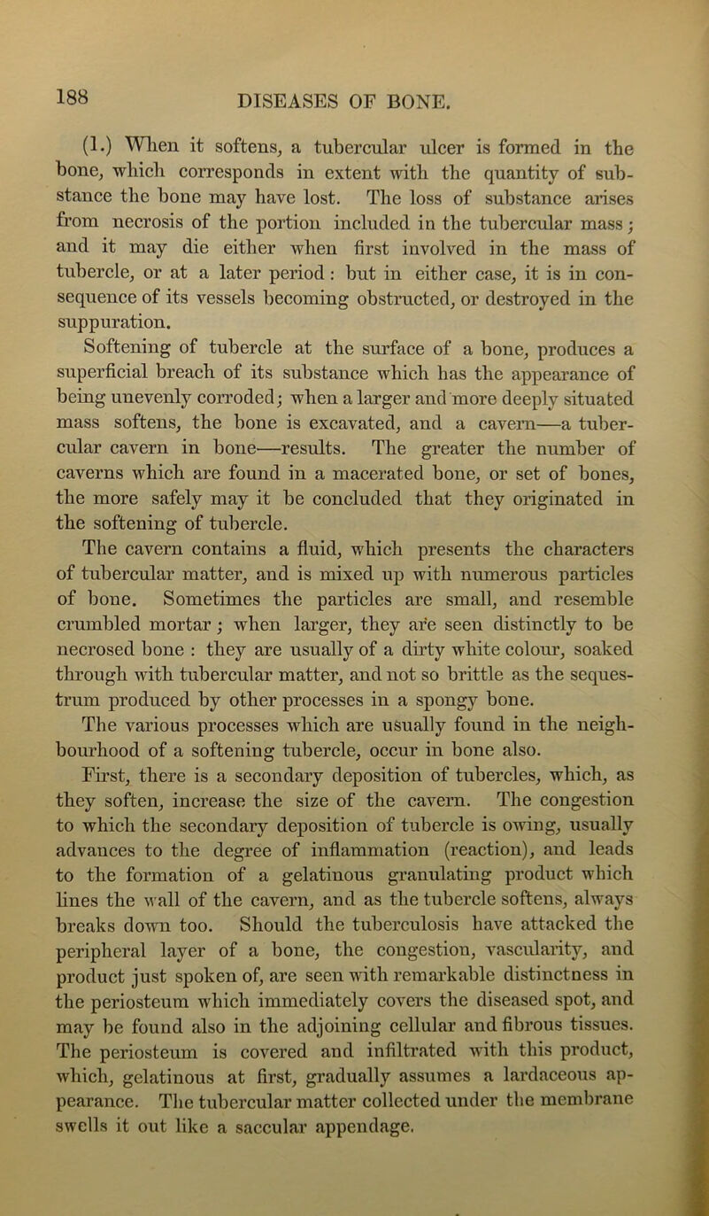 (1.) Wlien it softens, a tubercular ulcer is formed in the bone, which corresponds in extent with the quantity of sub- stance the bone may have lost. The loss of substance arises from necrosis of the portion included in the tubercular mass; and it may die either when first involved in the mass of tubercle, or at a later period: but in either case, it is in con- sequence of its vessels becoming obstructed, or destroyed in the suppuration. Softening of tubercle at the surface of a bone, produces a superficial breach of its substance which has the appearance of being unevenly corroded; when a larger and more deeply situated mass softens, the bone is excavated, and a cavern—a tuber- cular cavern in bone—results. The greater the number of caverns which are found in a macerated bone, or set of bones, the more safely may it be concluded that they originated in the softening of tubercle. The cavern contains a fluid, which presents the characters of tubercular matter, and is mixed up with numerous particles of bone. Sometimes the particles are small, and resemble crumbled mortar; when larger, they are seen distinctly to be necrosed bone : they are usually of a du’ty white colour, soaked through with tubercular matter, and not so brittle as the seques- trum produced by other processes in a spongy bone. The various processes which are usually found in the neigh- bourhood of a softening tubercle, occur in bone also. Fu'st, there is a secondary deposition of tubercles, which, as they soften, increase the size of the cavern. The congestion to which the secondary deposition of tubercle is owing, usually advances to the degree of inflammation (reaction), and leads to the formation of a gelatinous granulating product which hues the wall of the cavern, and as the tubercle softens, always breaks down too. Should the tuberculosis have attaeked the peripheral layer of a bone, the congestion, vascularity, and product just spoken of, are seen with remarkable distinctness in the periosteum which immediately covers the diseased spot, and may be found also in the adjoining cellular and fibrous tissues. The periosteum is covered and infiltrated with this product, which, gelatinous at first, gradually assumes a lardaceous ap- pearance. Tlie tubercular matter collected under the membrane swells it out like a saccular appendage.
