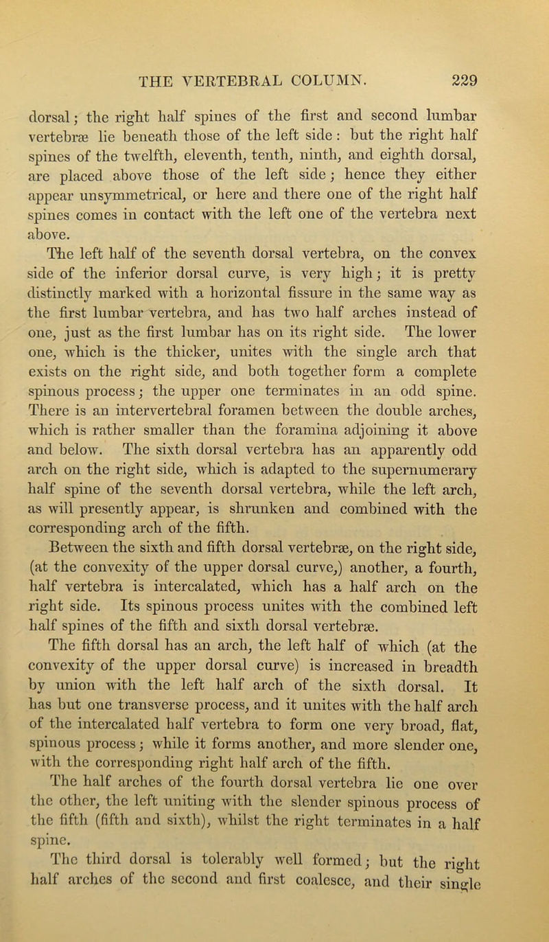 dorsal; the right half spines of the first and second lumbar vertehrm lie beneath those of the left side : but the right half spines of the twelfth, eleventh, tenth, ninth, and eighth dorsal, are placed above those of the left side; hence they either appear unsymmetrical, or here and there one of the right half spines comes in contact with the left one of the vertebra next above. The left half of the seventh dorsal vertebra, on the convex side of the inferior dorsal curve, is very high; it is pretty distinctly marked with a horizontal fissure in the same way as the first lumbar vertebra, and has two half arches instead of one, just as the first lumbar has on its right side. The lower one, which is the thicker, unites with the single arch that exists on the right side, and both together form a complete spinous process; the upper one terminates in an odd spine. There is an intervertebral foramen between the double arches, which is rather smaller than the foramina adjoining it above and below. The sixth dorsal vertebra has an apparently odd arch on the right side, which is adapted to the supernumerary half spine of the seventh dorsal vertebra, while the left arch, as will presently appear, is shrunken and combined with the corresponding arch of the fifth. Between the sixth and fifth dorsal vertebrae, on the right side, (at the convexity of the upper dorsal curve,) another, a fourth, half vertebra is intercalated, which has a half arch on the right side. Its spinous process unites with the combined left half spines of the fifth and sixth dorsal vertebrae. The fifth dorsal has an arch, the left half of which (at the convexity of the upper dorsal curve) is increased in breadth by union with the left half arch of the sixth dorsal. It has but one transverse process, and it unites with the half arch of the intercalated half vertebra to form one very broad, flat, spinous process; while it forms another, and more slender one, with the corresponding right half arch of the fifth. The half arches of the fourth dorsal vertebra lie one over the other, the left uniting with the slender spinous process of the fifth (fifth and sixth), whilst the right terminates in a half spine. The third dorsal is tolerably well formed; but the right half arches of the second and first coalesce, and their single