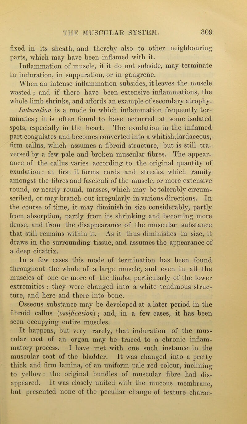 fixed in its sheatli, and thereby also to other neighbouring parts_, which may have been inflamed with it. Inflammation of muscle, if it do not subside, may terminate in induration, in suppuration, or in gangrene. When an intense inflammation subsides, it leaves the muscle wasted j and if there have been extensive inflammations, the whole limb shrinks, and affords an example of secondary atrophy. Induration is a mode in which inflammation frequently ter- minates ; it is often found to have occurred at some isolated spots, especially in the heart. The exudation in the inflamed part coagulates and becomes converted into a whitish, lardaceous, firm callus, which assumes a fibroid structure, but is still tra- versed by a few pale and broken muscular fibres. The appear- ance of the callus varies according to the original quantity of exudation : at first it forms cords and streaks, which ramify amongst the fibres and fasciculi of the muscle, or more extensive round, or nearly round, masses, which may be tolerably circum- scribed, or may branch out irregularly in various directions. In the course of time, it may diminish in size considerably, partly from absorption, partly from its shrinking and becoming more dense, and from the disappearance of the muscular substance that still remains within it. As it thus diminishes in size, it draws in the surrounding tissue, and assumes the appearance of a deep cicatrix. In a few cases this mode of termination has been found throughout the whole of a large muscle, and even in all the muscles of one or more of the limbs, particularly of the lower extremities : they were changed into a white tendinous struc- ture, and here and there into bone. Osseous substance may be developed at a later period in the fibroid callus [ossification]; and, in a few cases, it has been seen occupying entire muscles. It happens, but very rarely, that induration of the mus- cular coat of an organ may be traced to a chronic inflam- matory process. I have met with one such instance in the muscular coat of the bladder. It was changed into a pretty thick and firm lamina, of an uniform pale red colour, inclining to yellow: the original bundles of muscular fibre had dis- appeared. It was closely united with the mucous membrane, but presented none of the peculiar change of texture eharac-