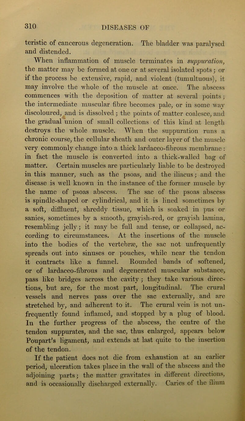 teristic of cancerous degeneration. The bladder was paralysed and distended. When inflammation of muscle terminates in suppuration, the matter may be formed at one or at several isolated spots; or if the process be extensive^ rapid, and violent (tumultuous), it may involve the whole of the muscle at once. The abscess commences with the deposition of matter at several points; the intermediate muscular fibre becomes pale, or in some way discoloured,^and is dissolved; the points of matter coalesce, and the gradual union of small collections of this kind at length destroys the whole muscle. When the suppuration runs a chronic course, the cellular sheath and outer layer of the muscle very commonly change into a thick lardaceo-fibrous membrane : in fact the muscle is converted into a thick-walled bag of matter. Certain muscles are particularly liable to be destroyed in this manner, such as the psoas, and the iliacus; and the disease is well known in the instance of the former muscle bv t/ the name of psoas abscess. The sac of the psoas abscess is spindle-shaped or cylindrical, and it is lined sometimes by a soft, diffluent, shreddy tissue, which is soaked in pus or sanies, sometimes by a smooth, grayish-red, or grayish lamina, resembling jelly j it may be full and tense, or collapsed, ac- cording to circumstances. At the insertions of the muscle into the bodies of the vertebrae, the sac not unfrequently spreads out into sinuses or pouches, while near the tendon it contracts like a funnel. Rounded bands of softened, or of lardaceo-fibrous and degenerated muscular substance, pass hke bridges across the cavity ; they take various direc- tions, but are, for the most part, longitudinal. The crural vessels and nerves pass over the sac externally, and are stretched by, and adherent to it. The crural vein is not un- frequently found inflamed, and stopped by a plug of blood. In the further progress of the abscess, the centre of the tendon suppurates, and the sac, thus enlarged, appears below Poupart^s ligament, and extends at last quite to the insertion of the tendon. If the patient does not die from exhaustion at an earlier period, ulceration takes place in the wall of the .abscess and the adjoining parts; the matter gi’a'vatates in different directions, and is occasionally discharged externally. Caries of the ilium