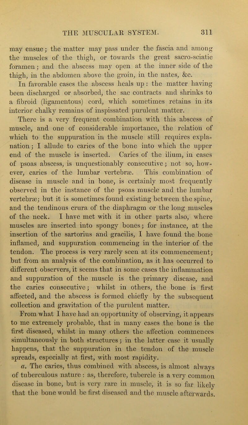 may ensue; tlie matter may pass under tlie fascia and among tLe muscles of tlie tliigli^ or towards the great sacro-sciatic foramen j and the abscess may open at the inner side of the thigh, in the abdomen above the groin, in the nates, &c. In favorable cases the abscess heals up : the matter having been discharged or absorbed, the sac contracts and shrinks to a fibroid (ligamentous) cord, which sometimes retains in its interior chalky remains of inspissated purulent matter. There is a very frequent combination with this abscess of muscle, and one of considerable importance, the relation of which to the suppuration in the muscle still requires expla- nation; I allude to caries of the bone into which the upper end of the muscle is inserted. Caries of the ilium, in cases of psoas abscess, is unquestionably consecutive; not so, how- ever, caries of the lumbar vertebrae. This combination of disease in muscle and in bone, is certainly most frequently obseiwed in the instance of the psoas muscle and the lumbar vertebrae; but it is sometimes found existing between the spine, and the tendinous crura of the diaphragm or the long muscles of the neck. I have met with it in other parts also, where muscles are inserted into spongy bones; for instance, at the insertion of the sartorius and gracilis, I have found the bone infiamed, and suppuration commencing in the interior of the tendon. The process is very rarely seen at its commencement; but from an analysis of the combination, as it has occurred to difiPerent observers, it seems that in some cases the inflammation and suppuration of the muscle is the primary disease, and the caries consecutive; whilst in others, the bone is first affected, and the abscess is formed chiefly by the subsequent collection and gravitation of the purulent matter. From what I have had an opportunity of observing, it appears to me extremely probable, that in many cases the bone is the first diseased, whilst in many others the affection commences simultaneously in both structures; in the latter case it usually happens, that the suppuration in the tendon of the muscle spreads, especially at first, with most rapidity. a. The caries, thus combined with abscess, is almost always of tuberculous nature ; as, therefore, tubercle is a very common disease in bone, but is very rare in muscle, it is so far likely that the bone would be first diseased and the muscle afterwards.