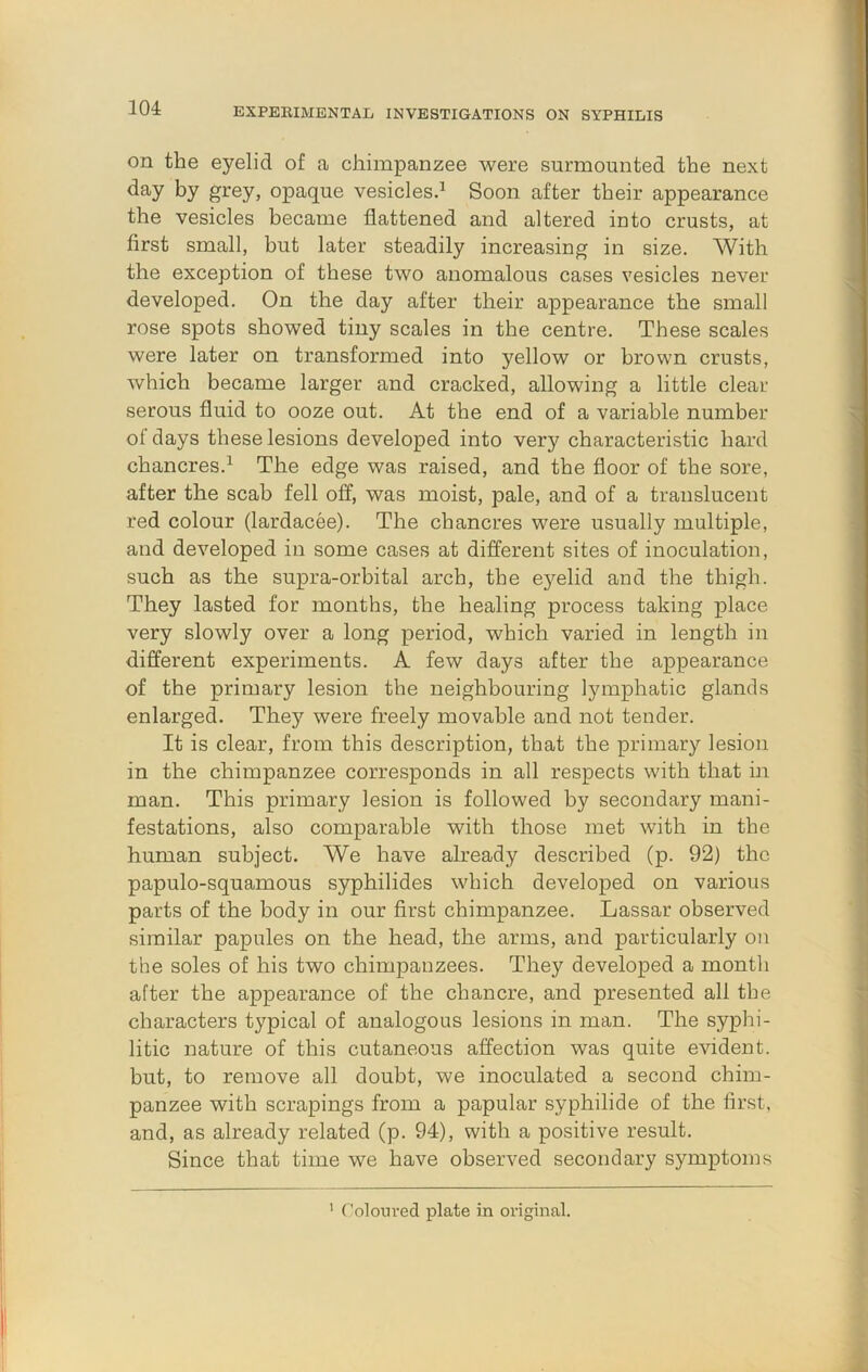 on the eyelid of a chimpanzee -were surmounted the next day by grey, opaque vesiclesd Soon after their appearance the vesicles became flattened and altered into crusts, at first small, but later steadily increasing in size. With the exception of these two anomalous cases vesicles never developed. On the day after their appearance the small rose spots showed tiny scales in the centre. These scales were later on transformed into yellow or brown crusts, which became larger and cracked, allowing a little clear serous fluid to ooze out. At the end of a variable number of days these lesions developed into very characteristic hard chancres.^ The edge was raised, and the floor of the sore, after the scab fell off, was moist, pale, and of a translucent red colour (lardacee). The chancres were usually multiple, and developed in some cases at different sites of inoculation, such as the supra-orbital arch, the eyelid and the thigh. They lasted for months, the healing process taking place very slowly over a long period, which varied in length in different experiments. A few days after the appearance of the primary lesion the neighbouring lymphatic glands enlarged. They were freely movable and not tender. It is clear, from this description, that the primary lesion in the chimpanzee corresponds in all respects with that in man. This primary lesion is followed by secondary mani- festations, also comparable with those met with in the human subject. We have already described (p. 92) the papulo-squamous syphilides which developed on various parts of the body in our first chimpanzee. Lassar observed similar papules on the head, the arms, and particularly on the soles of his two chimpanzees. They developed a month after the appearance of the chancre, and presented all the characters typical of analogous lesions in man. The syphi- litic nature of this cutaneous affection was quite evident, but, to remove all doubt, we inoculated a second chim- panzee with scrapings from a papular syphilide of the first, and, as already related (p. 94), with a positive result. Since that time we have observed secondary symptoms