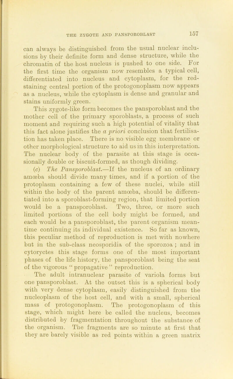 can always be distinguished from the usual nuclear inclu- sions by their definite form and dense structure, while the chromatin of the host nucleus is pushed to one side. For the first time the organism now resembles a typical cell, differentiated into nucleus and cytoplasjn, for the red- staining central portion of the protogonoplasm now appears as a nucleus, while the cytoplasm is dense and granular and stains uniformly green. This zygote-like form becomes the pansporoblast and the mother cell of the primary sporoblasts, a process of such moment and requiring such a high potential of vitality that this fact alone justifies the a priori conclusion that fertilisa- tion has taken place. There is no visible egg membrane or other morphological structure to aid us in this interpretation. The nuclear body of the parasite at this stage is occa- sionally double or biscuit-formed, as though dividing. (c) The Pansporoblast.—If the nucleus of an ordinary amoeba should divide many times, and if a portion of the protoplasm containing a few of these nuclei, while still within the body of the parent amoeba, should be differen- tiated into a sporoblast-forming region, that limited portion would be a pansporoblast. Two, three, or more such limited portions of the cell body might be formed, and each would be a pansporoblast, the parent organism mean- time continuing its individual existence. So far as known, this peculiar method of reproduction is met with nowhere but in the sub-class neosporidia of the sporozoa ; and in cytoryctes this stage forms one of the most important phases of the life history, the pansporoblast being the seat of the vigorous “ propagative ” reproduction. The adult intranuclear parasite of variola forms but one pansporoblast. At the outset this is a spherical body with very dense cytoplasm, easily distinguished from the nucleoplasm of the host cell, and with a small, spherical mass of protogonoplasm. The protogonoplasm of this stage, which might here be called the nucleus, becomes distributed by fragmentation throughout the substance of the organism. The fragments are so minute at first that they are barely visible as red points within a green matrix