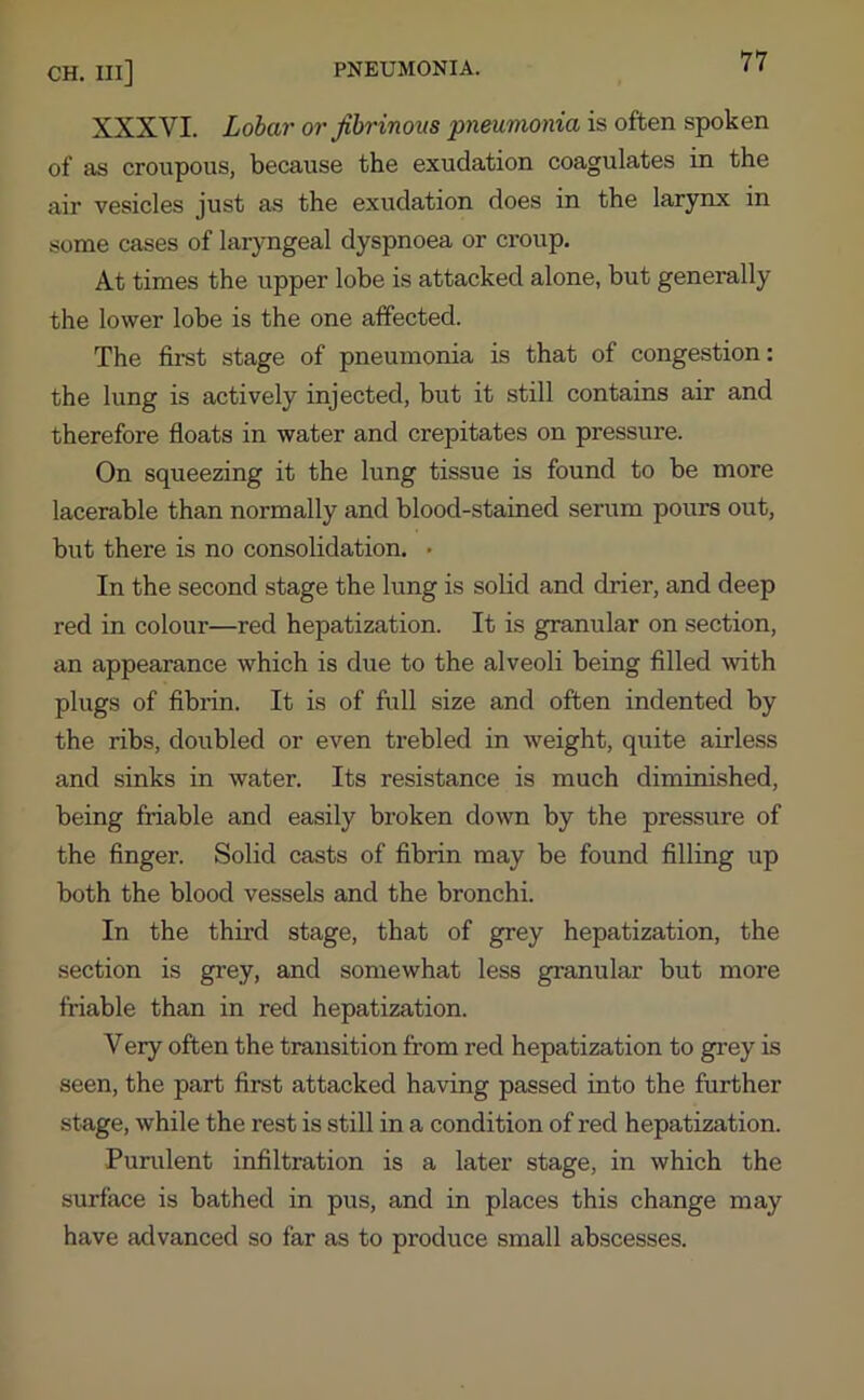 XXXVI. Lobar or fibrinous pneumonia is often spoken of as croupous, because the exudation coagulates in the air vesicles just as the exudation does in the larynx in some cases of laryngeal dyspnoea or croup. At times the upper lobe is attacked alone, but generally the lower lobe is the one affected. The first stage of pneumonia is that of congestion: the lung is actively injected, but it still contains air and therefore floats in water and crepitates on pressure. On squeezing it the lung tissue is found to be more lacerable than normally and blood-stained serum pours out, but there is no consolidation. • In the second stage the lung is solid and drier, and deep red in colour—red hepatization. It is granular on section, an appearance which is due to the alveoli being filled with plugs of fibrin. It is of full size and often indented by the ribs, doubled or even trebled in weight, quite airless and sinks in water. Its resistance is much diminished, being friable and easily broken down by the pressure of the finger. Solid casts of fibrin may be found filling up both the blood vessels and the bronchi. In the third stage, that of grey hepatization, the section is grey, and somewhat less granular but more friable than in red hepatization. Very often the transition from red hepatization to grey is seen, the part first attacked having passed into the further stage, while the rest is still in a condition of red hepatization. Purulent infiltration is a later stage, in which the surface is bathed in pus, and in places this change may have advanced so far as to produce small abscesses.
