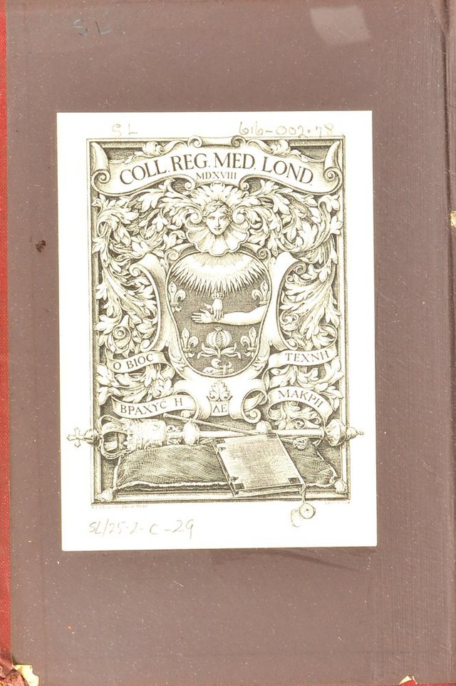 digitised image 2