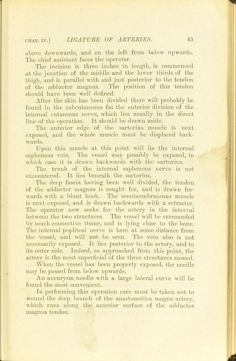 iibove downwards, and on the left from below upwards. The chief assistant faces the operator. The incision is three inches in length, is commenced at the junction of the middle and the lower thirds of the tlugh, and is parallel with and just posterior to the tendon of the adductor magnus. The position of this tendon should have been well defined. After the skin has been divided there will probably be found in the subcutaneous fat the anterior division of the internal cutaneous nerve, which lies usually in the direct line of the operation. It should be drawn aside. The anterior edge of the sartorius muscle is next exposed, and the whole muscle must be displaced back- wards. Upon this muscle at this point will lie the internal saphenous vein. The vessel may possibly be exposed, in which case it is drawn backwards with the sartorius. The trunk of the internal saphenous nerve is not encountered. It lies benea,th the sartorius. The deep fascia having been well divided, the tendon of the adductor magnus is sought for, and is drawn for- wards with a blunt hook. The semimembranosus muscle is next exposed, and is drawn backwards with a retractor. The operator now seeks for the artery in the interval between the two structures. The vessel will be surrounded by much connective tissue, and is lying close to the bone. The internal popliteal nerve is here at some distance from the vessel, and will not be seen. The vein also is not necessarily exposed. It lies posterior to the artery, and to its outer side. Indeed, as approached from this point, the artery is the most superficial of the three structures named. •When the vessel has been properly exposed, the needle may be passed from below upwards. An aneurysm needle with a large lateral curve will be found the most convenient. In performing this operation care must be taken not to wound the deep branch of the anastomotica magna arteiy, which runs along the anterior surface of the adductor magnus tendon.