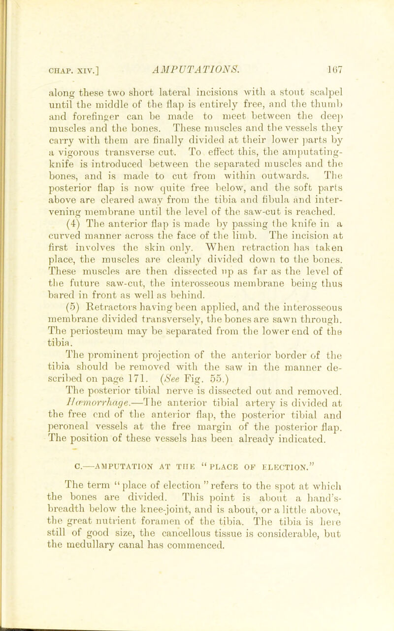 along these two short lateral incisions with a stout scalpel until the middle of the Hap is entirely free, nnd the thuml) and forefinger can be made to meet between the deep muscles and the bones. The.se muscles and the vessels they carry with them are finally divided at their lower ])arts by a vigorous transverse cut. To effect this, the amputating- knife is introduced between the separated muscles and the bones, and is made to cut from within outwards. The posterior flap is now' quite free below, and the soft parts above are cleared away from the tibia and fibula and inter- vening membrane until the level of the saw-cut is reached. (4) The anterior flap is made by passing the knife in a ciu’ved manner across the face of the limb. The incision at first involves the skin only. When retraction has taken place, the muscles are cleanly divided down to the bones. These muscles are then dissected np as far as the level of tlie future saw-cut, the interosseous membrane being thus bared in front as well as behind. (5) Retractors having been applied, and the interosseous membrane divided transversely, the bones are sawn through. The periosteum may be separated from the lower end of the tibia. The prominent projection of the anterior border of tbo tibia should be removed with the saw in the manner de- scribed on page 171. {See Fig. 55.) The posterior tibial nerve is dissected out and removed. Ihemorrhnge.—The anterior tibial artery is divided at the free end of the anteiior flap, the po.sterior tibial and jieroneal vessels at the free margin of the posterior Hap. The position of the.se vessels has been already indicated. C.—AMPUTATION AT Tllli “PLACE OF F.LECTION.” The term “place of election ’’refers to the spot at which the bones are divided. This yioint is about a hand’.s- breadth below the knee-joint, and is about, or a little above, the great nutrient foramen of the tibia. The tibia is here still of good size, the cancellous tissue is considerable, but the medullary canal has commenced.