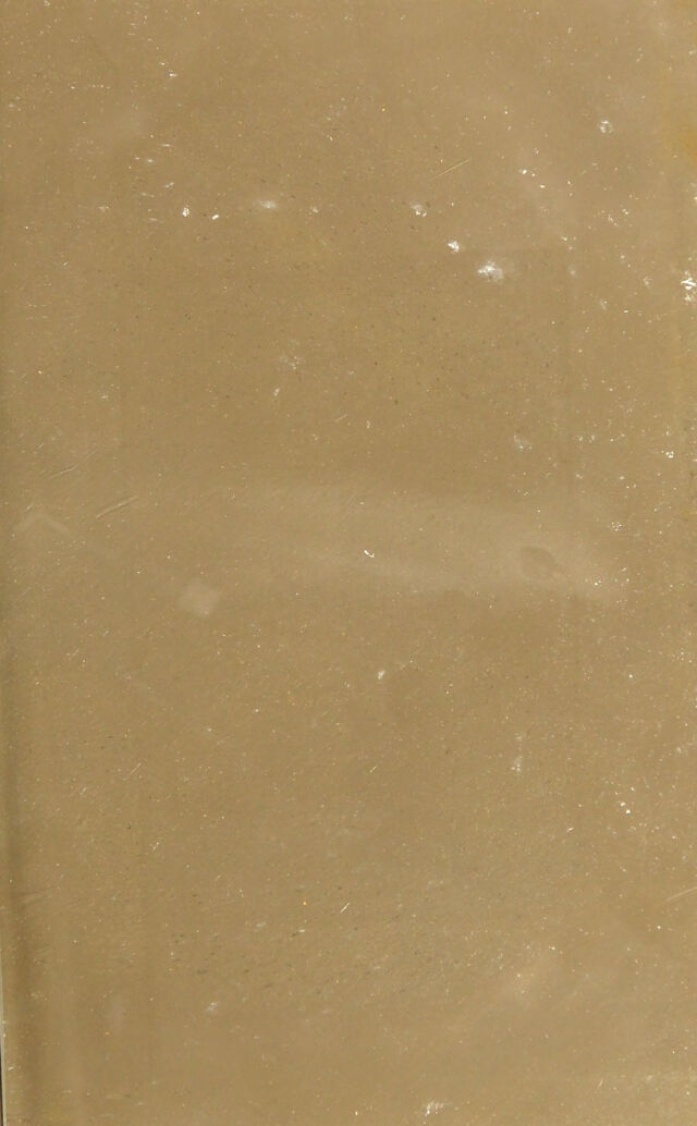 digitised image 3