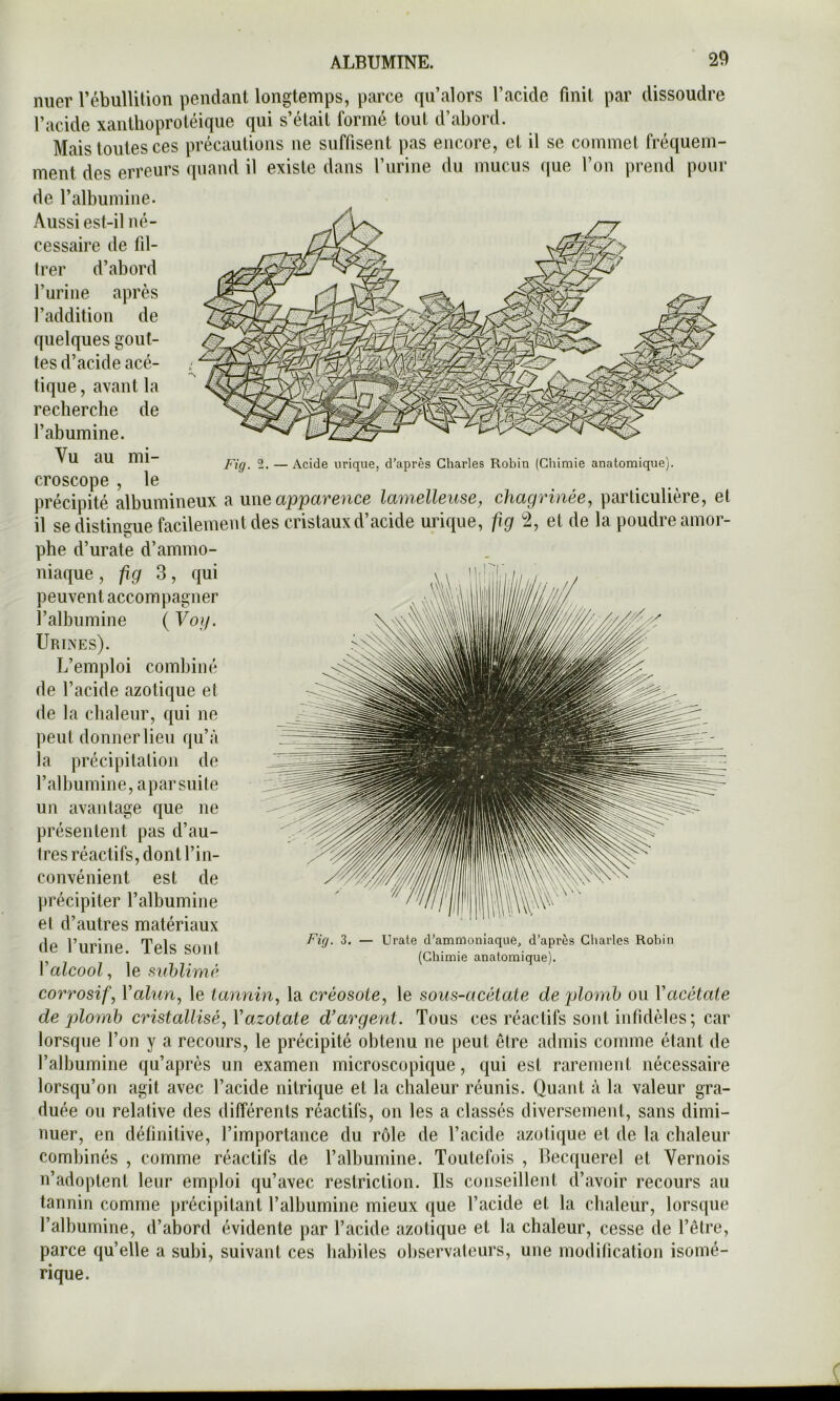 nuer rébullition pendant longtemps, parce qii’alors l’acide finit par dissoudre l’acide xanthoprotéiqiie qui s’était formé tout d’abord. Mais toutes ces précautions ne suffisent pas encore, et il se commet fréquem- ment des erreurs quand il existe dans l’iirine du mucus que l’on prend pour Fig. 1. — Acide urique, d’après Charles Robin (Clrimie anatomique). de l’albumine. Aussi est-il né- cessaire de fil- (rer d’abord l’urine après l’addition de quelques gout- tes d’acide acé- tique, avant la recherche de l’abumine. Vu au mi- croscope ,1e précipité albumineux a une apparence lamelleuse, chagrinée^ particulière, et il se distiiif^ue facilement des cristaux d’acide urique, fig 2, et de la poudre amor- phe d’urate d’ammo- niaque ^ fig 3, qui peuvent accompagner l’albumine ( Vog. Urines). L’emploi combiné de l’acide azotiqne et de la chaleur, qui ne peut donnerlieu qu’à la précipitalion de l’albumine, apar suite un avantage que ne présentent pas d’au- tres réactifs, dont l’in- convénient est de précipiter l’albumine et d’autres matériaux de l’urine. Tels sont Valcool., \e siihlimé corrosif, Valun, le tannin, la créosote, le sous-acétate de plomb ou Vacétate de plomb cristallisé, Vazotate d’argent. Tous ces réactifs sont infidèles; car lorsque l’on y a recours, le précipité obtenu ne peut être admis comme étant de l’albumine qu’après un examen microscopique, qui est rarement nécessaire lorsqu’on agit avec l’acide nitrique et la chaleur réunis. Quant à la valeur gra- duée on relative des différents réactifs, on les a classés diversement, sans dimi- nuer, en définitive, l’importance du rôle de l’acide azotique et de la chaleur combinés , comme réactifs de l’albumine. Toutefois , Becquerel et Vernois n’adoptent leur emploi qu’avec restriction. Ils conseillent d’avoir recours au tannin comme précipitant l’albumine mieux que l’acide et la chaleur, lorsque l’albumine, d’abord évidente par l’acide azotique et la chaleur, cesse de l’être, parce qu’elle a subi, suivant ces habiles observateurs, une modification isoiné- rique. Fig. 3. — Urate d’ammoniaque, d’après Charles Rohin (Chimie anatomique).
