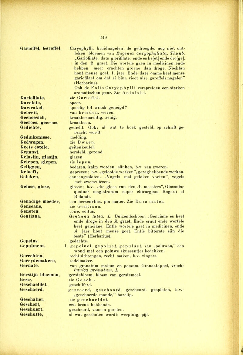 Garioffel, Geroffel, Gariofilate, Gavelote, Gawrakel, Gebreit, Gecuoesich, Gecroes, gecroos, Gedichte, Gedinkenisse, Gedwegen, Geets cotele, Geganst, Gelasiiu, glasijn, Gelepen, glepen, Geliggen, Geloeft, Geloken, Gelose, glose. Genadige moeder, Genceaue, Genoten, Gentiana, Gepeins, Gepulment, Gerechten, Gereydemakere, Gernate, Gerstijn bloemen, Gesc-, Geschaeldet, Geschaerd, Geschaliet, Geschort, Geschuert, Geschutte, Garyophylli, kruidnagelen; de gedroogde, nog niet ont- loken bloemen van Eugenia Caryophyllata, Thunb. „Gariofilate. dats glorifilate. ende es he[et] ende dro[ge]. in den .2. graet. Die wortele gaen in medicinen. ende hebben meer crachten groene dan droge. Nochtan bout mense goet. 1. jaer. Ende daer omme heet mense gariofilaet om dat si bina riect alse garoffels nagelen” (Herbarius). Ook de FoliaCaryophylli verspreiden een sterken aromatischen geur. Zie Anlofolii. zie Garioffel. speer. spoedig tot wraak geneigd? van breiden, weven, kraakbeenachtig, zenig. kraakbeen. gedicht. Ook: al wat te boek gesteld, op schrift ge- bracht wordt, melding, zie Dwaen. geitenkeutel, hersteld, gezond, glazen, zie Iepen. bedaren, kalm worden, slinken, b.v. van zweren, geprezen ; b.v. „geloofde werken”, gezaghebbende werken, aaneengesloten. „Vogels met geloken voeten”, vogels met zwemvliezen. glosse; b.v. „die glose van den .4. meesters”, Glossulae quatuor magistrorum super chirurgiam Rogerii el Rolandi. een hersenvlies, pia mater. Zie Dura mater, zie Gentiana. coire, coitus. Gentiana lutea, L. Duizendschoon, „Genciane es heet ende droge in den .3. graet. Ende cruut ende wortele heet genciane. Entie wortele gaet in medicinen. ende .4. jaer hout mense goet. Entie bitterste siin die beste” (Herbarius). gedachte. 1. gepeluet, gepoluet, gepuluet, van „poluwen,” een wond met een poluwe (kussentje) bedekken, rechtuitbrengen, recht maken, b.v. vingers, zadelmaker. van granatum malum en pomum. Granaatappel, vrucht Punica granatum, L. gerstebloem, bloem van gerstemeel. zie Ge sch.- geschilferd. gescoerd, geschoord, gescheurd, gespleten, b.v.; „geschoerde monde,” hazelip. zie geschaeldet. een breuk hebbende, gescheurd, vaneen gereten, al wat geschoten wordt; werptuig, pyl. 4