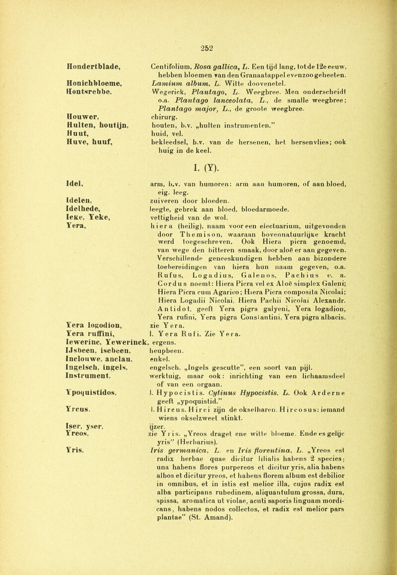 Hondertblade, Centifolium, Rosa gallica, L. Een tijd lang, totde 12e eeuw, hebben bloemen van den Granaatappel evenzoogeheeten. Honichbloeme, Hontsrebbe, Lamium album, L. Witte doovenetel. Wegerick, Plantago, L. Weegbree. Men onderscheidt o.a. Plantago lanceolata, L., de smalle weegbree; Plantago major, L., de groote weegbree. Houwer, H uiten, houtijn, Hu ut, Huve, huuf, chirurg. houten, b.v. „hulten instrumenten.” huid, vel. bekleedsel, b.v. van de hersenen, het hersenvlies; ook huig in de keel. I. (Y). Idel, arm, b.v. van humoren: arm aan humoren, of aan bloed, (delen, Idelhede, Ieke, Yeke, Yera, eig. leeg. zuiveren door bloeden. leegte, gebrek aan bloed, bloedarmoede. vettigheid van de wol. hiera (heilig), naam vooreen electuarium, uitgevonden door Themison, waaraan bovennatuurlijke kracht werd toegeschreven. Ook Hiera picra genoemd, van wege den bitteren smaak, door aloë er aan gegeven. Verschillende geneeskundigen hebben aan bizondere Yera logodion, Yera rufFini, toebereidingen van hiera hun naam gegeven, o.a. Rufus, Logadius, Galenos, Pachius e. a. Cordus noemt: Hiera Picra vel ex Aloë simplex Galeni; Hiera Picra eum Agarico; Hiera Picra composita Nicolai; Hiera Logadii Nicolai, Hiera Pachii Nicoiai Alexandr. Antidot. geeft Yera pigra galyeni, Yera logadion, Yera rufini, Yera pigra Conslantini, Yera pigra albacis. zie Yera. 1. Yera Rufi. Zie Yera. Iewerinc, Yeweriiick, ergens. IJsbeen, isebeeu, Inclouwe, auclau. lugelsch, ingels. Instrument, heupbeen. enkel. engelsch. „Ingels gescutte”, een soort van pijl. werktuig, maar ook: inrichting van een lichaamsdeel of van een orgaan. Ypoquistidos, 1. Hypocistis. Cytinus Hypocistis, L. Ook Arderne geeft „ypoquistid.” Yrcus. 1. Hircus. H irci zijn de okselharen. Hircosus: iemand wiens okselzweet stinkt. Iser, yser, Yreos, ijzer. zie Yris. „Yreos draget ene witte bloeme. Endeesgelijc yris” (Herbarius). Yris, Iris germanica, L. en Iris florentina, L. „Yreos est radix herbae quae dicitur lilialis habens 2 species; una habens flores purpereos et dicitur yris, alia habens albos et dicitur yreos, et habens florem album est debilior in omnibus, et in istis est melior i 11a, cujus radix est alba participans rubedinem, aliquantulum grossa, dura, spissa, aroraatica ut violae, acuti saporis linguam mordi- cans, habens nodos collectos, et radix est melior pars plantae” (St. Amand).