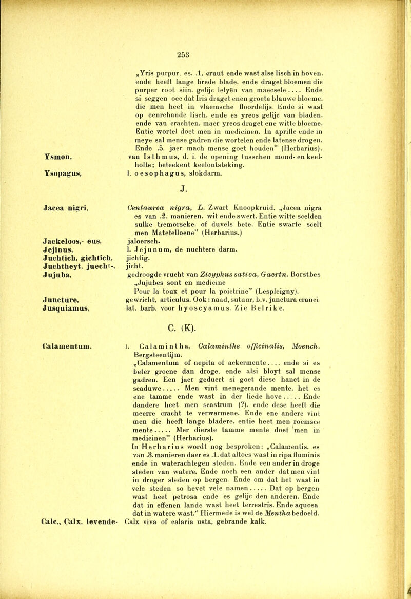 Ysinoü, Ysopagus, Jacea nigi'i, Jackeloos,- eus, Jejinus, Juchtich, gichtïch, Juchtheyt, juechi-, Jujuba. Juncture, Jusquiamus, Calauientum. Calc„ Calx, leveude- „Yris purpur. es. .1. eruut ende wast alse lisch in hoven, ende heeft lange brede blade. ende draget bloemen die purper root siin. gelijc lelyën van maecsele .... Ende si seggen oec dat Iris draget enen groete blauwe bloeme. die men heet in vlaemsche floordelijs. Ende si wast op eenrehande lisch. ende es yreos gelijc van bladen, ende van crachten. maer yreos draget ene witte bloeme. Entie wortel doet men in medicinen. In aprille ende in meye sal mense gadren die wortelen ende latense drogen. Ende .5. jaer mach mense goet houden” (Herbarius). van Isthmus, d. i. de opening tusschen mond-en keel- holte; beteekent keelontsteking. 1. oesophagus, slokdarm. J. Centaurea nigra, L. Zwart Knoopkruid. „Jacea nigra es van .2. manieren, wit ende swert. Entie witte scelden sulke tremorseke. of duvels bete. Entie swarte scelt men Matefelloene” (Herbarius.) jaloersch. 1. Jejunum, de nuchtere darm. jichtig. jicht. gedroogde vrucht van Zizyphus sativa, Gaertn. Borstbes „Jujubes sont en medicine Pour la toux et pour la poictrine” (Lespleigny). gewricht, articulus. Ook : naad, sutuur, b.v.junctura cranei lat. barb. voor hyoscyamus. Zie Belrike. C. (K). I. Galamintha, Calaminthe officinalis, Moench. Bergsteentijm. „Calamentum of nepita of ackermente .... ende si es beter groene dan droge, ende alsi bloyt sal mense gadren. Een jaer geduert si goet diese hanct in de scaduwe Men vint menegerande mente. het es ene tamme ende wast in der liede hove Ende dandere heet men scastrum (?). ende dese heeft die meerre cracht te verwarmene. Ende ene andere vint men die heeft lange bladere. entie heet men roemsce mente Mer dierste tamme mente doet men in medicinen” (Herbarius). In Herbarius wordt nog besproken: „Calamentis. es van .3. manieren daer es .1. dat altoes wast in ripa fluminis ende in waterachtegen steden. Ende een ander in droge steden van watere. Ende noch een ander dat men vint in droger steden op bergen. Ende om dat het wast in vele steden so hevet vele namen Dat op bergen wast heet petrosa ende es gelijc den anderen. Ende dat in effenen lande wast heet terrestris. Ende aquosa dat in watere wast.” Hiermede is wel de Mentha bedoeld. Calx viva of calaria usta, gebrande kalk.
