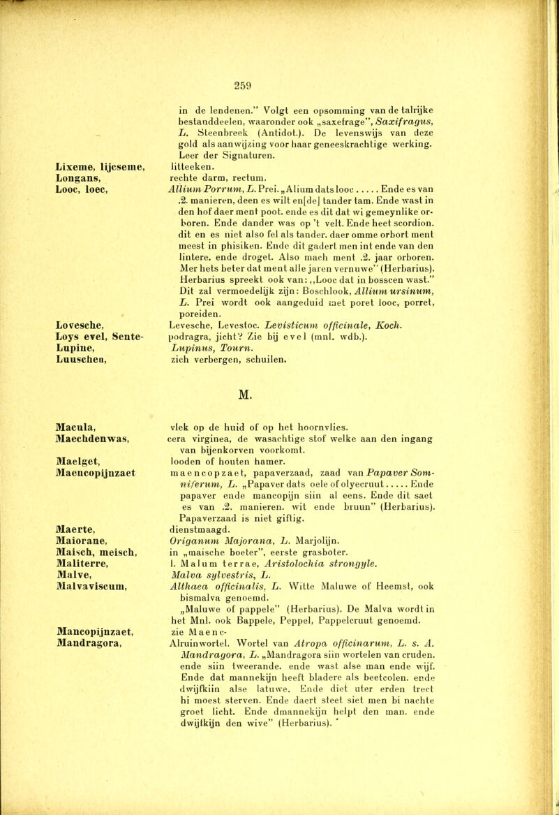 Lixeme, lijcseine, Longans, Looc, loec, Lovesche, Loys evel, Sente- Lupine, Luuschen, in de lendenen.” Volgt een opsomming van de talrijke bestanddeelen, waaronder ook „saxefrage”, Saxifragus, L. Steenbreek (Antidot.). De levenswijs van deze gold als aanwijzing voor baar geneeskrachtige werking. Leer der Signaturen. litteeken. rechte darm, rectum. Allium Porrum, L. Prei. „ Alium dats looc Ende es van .2. manieren, deen es wilt en[dej tander tam. Ende wast in den hof daer ment poot. ende es dit dat wi gemeynlike or- boren. Ende dander was op’t velt. Ende heet scordion. dit en es niet also fel als tander. daeromme orbort ment meest in phisiken. Ende dit gadert men int ende van den lintere. ende droget. Also mach ment .2. jaar orboren. Mer hets beter dat ment alle jaren vernuwe” (Herbarius). Herbarius spreekt ook van: ,,Looc dat in bosscen wast.” Dit zal vermoedelijk zijn: Boschlook, Allium ursinum, L. Prei wordt ook aangeduid met poret looc, porret, poreiden. Levesche, Levestoc. Levisticum officinale, Koelt. podragra, jicht? Zie bij evel (mnl. wdb.). Lupinus, Tourn. zich verbergen, schuilen. M. Macula, Maechdenwas, Maelget, Maencopijuzaet Maerte, Maiorane, Maisch, meisch, Maliterre, Malve, Malvaviscum, Maiicopijnzaet, Mandragora, vlek op de huid of op het hoornvlies, cera virginea, de wasachtige stof welke aan den ingang van bijenkorven voorkomt, looden of bouten hamer. maencopzaet, papaverzaad, zaad van Papaver Som- niferum, L. „Papaver dats oele of olyecruut Ende papaver ende mancopijn siin al eens. Ende dit saet es van .2. manieren, wit ende bruun” (Herbarius). Papaverzaad is niet giftig, dienstmaagd. Origanum Majorana, L. Marjolijn. in „maisehe boeter”, eerste grasboter. 1. Malum ter ra e, Aristolochia strongyle. Malva syl vestris, L. Althaea officinalis, L. Witte Maluwe of Heemst, ook bismalva genoemd. „Maluwe of pappele” (Herbarius). De Malva wordt in het Mnl. ook Bappele, Peppel, Pappelcruut genoemd, zie Maene- Alruinwortel. Wortel van Atropa officinarum, L. s. A. Mandragora, L. „Mandragora siin wortelen van cruden. ende siin tweerande. ende wast alse man ende wijf. Ende dat mannekijn heeft bladere als beetcolen. ende dwijfkiin alse latuwe. Ende diet uter erden trect hi moest sterven. Ende daert steet siet men bi nachte groet licht. Ende dmannekijn helpt den man. ende dwijfkijn den wive” (Herbarius).