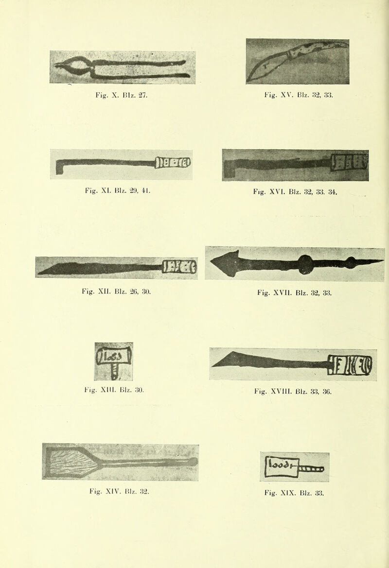 Fig. XIII. Blz. 30. Fig. XVIII. Blz. 33, 36.