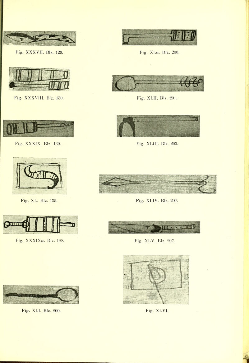 Fig. XXXIX. Blz. 130. Fig. XL1II. Blz. 203. Fig. XL. Blz. 135. Fig. XLIV. Blz. 207. Fig. XXXIXrt. Blz. 188. Fig. XLV. Blz. 207.