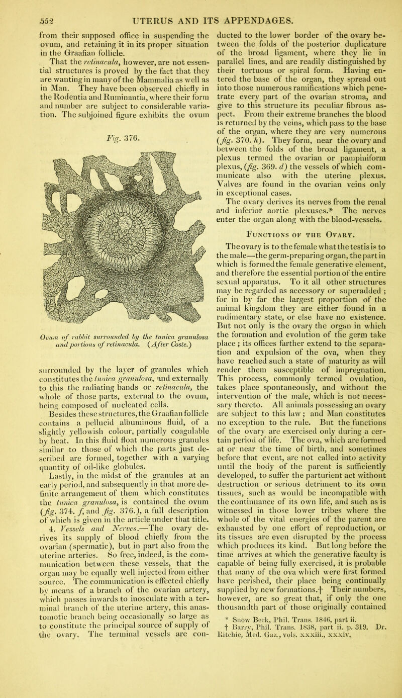 from their supposed office in suspending the ovum, and retaining it in its proper situation in the Graafian follicle. That the retinacula, however, are not essen- tial structures is proved by the fact that they are wanting in many of the Mammalia as well as in Man. They have been observed chiefly in the Rodentia and Ruminantia, where their form and number are subject to considerable varia- tion. The subjoined figure exhibits the ovum Fig. 376. Ooum of rabbit surrounded by the tunica granulosa and portions of retinacula. (After Coste.') surrounded by the layer of granules which constitutes the tunica granulosa, and externally to this the radiating bands or retinacula, the whole of those parts, external to the ovum, being composed of nucleated cells. Besides these structures, the Graafian follicle contains a pellucid albuminous fluid, of a slightly yellowish colour, partially coagulable by heat. In this fluid float numerous granules similar to those of which the parts just de- scribed are formed, together with a varying quantity of oil-like globules. Lastly, in the midst of the granules at an early period, and subsequently in that more de- finite arrangement of them which constitutes the tunica granulosa, is contained the ovum (fig. 374. f and Jig. 376.), a full description of which is given in the article under that title. 4. Vessels and Nerves.—The ovary de- rives its supply of blood chiefly from the ovarian (spermatic), but in part also from the uterine arteries. So free, indeed, is the com- munication between these vessels, that the organ may be equally well injected from either source. The communication is effected chiefly by means of a branch of the ovarian artery, which passes inwards to inosculate with a ter- minal branch of the uterine artery, this anas- tomotic branch being occasionally so large as to constitute the principal source of supply of the ovary. The terminal vessels are con- ducted to the lower border of the ovary be- tween the folds of the posterior duplicature of the broad ligament, where they lie in parallel lines, and are readily distinguished by their tortuous or spiral form. Having en- tered the base of the organ, they spread out into those numerous ramifications which pene- trate every part of the ovarian stroma, and give to this structure its peculiar fibrous as- pect. From their extreme branches the blood is returned by the veins, which pass to the base of the organ, where they are very numerous (fig. 370. h). They form, near the ovary and between the folds of the broad ligament, a plexus termed the ovarian or pampiniform plexus, (fig. 369. d) the vessels of which com- municate also with the uterine plexus. Valves are found in the ovarian veins only in exceptional cases. The ovary derives its nerves from the renal and inferior aortic plexuses.* The nerves enter the organ along with the blood-vessels. Functions of the Ovary. The ovary is to the female what the testis is to the male—the germ-preparing organ, the part in which is formed the female generative element, and therefore the essential portion of the entire sexual apparatus. To it all other structures may be regarded as accessory or superadded ; for in by far the largest proportion of the animal kingdom they are either found in a rudimentary state, or else have no existence. But not only is the ovary the organ in which the formation and evolution of the germ take place ; its offices farther extend to the separa- tion and expulsion of the ova, when they have reached such a state of maturity as will render them susceptible of impregnation. This process, commonly termed ovulation, takes place spontaneously, and without the intervention of the male, which is not neces- sary thereto. All animals possessing an ovary are subject to this law; and Man constitutes no exception to the rule. But the functions of the ovary are exercised only during a cer- tain period of life. The ova, which are formed at or near the time of birth, and sometimes before that event, are not called into activity until the body of the parent is sufficiently developed, to suffer the parturient act without destruction or serious detriment to its own tissues, such as would be incompatible with the continuance of its own life, and such as is witnessed in those lower tribes where the whole of the vital energies of the parent are exhausted by one effort of reproduction, or its tissues are even disrupted by the process which produces its kind. But long before the time arrives at which the generative faculty is capable of being fully exercised, it is probable that many of the ova which were first formed have perished, their place being continually supplied by new formations.-]' Their numbers, however, are so great that, if only the one thousandth part of those originally contained * Snow Beck, Phil. Trans. 1846, part ii. f Barry, Phjl. Trans. 1888, part ii. p. 319. Dr. Ritchie, Med. Gaz., vols. xxxiii., xxxiv.