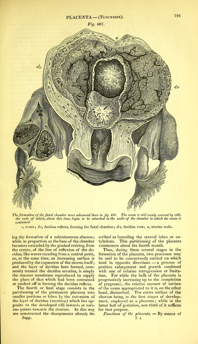 PLACENTA — (Functions). Fig. 487. The formation of the foetal chamber more advanced than in fig. 486. The ovum is still evenly covered by villi, the ends of which, about this time, begin to be attached to the walls of the chamber in which the ovum is contained. o, ovum; d r, decidua reflexa, forming the foetal chamber; d v, decidua rera; u, uterine walls. ing the formation of a subcutaneous abscess; while in proportion as the base of the chamber becomes extended by the gradual retiring, from the centre, of the line of reflexion of the de- cidua, like waves receding from a central point, so, at the same time, an increasing surface is produced by the expansion of the uterus itself; and the layer of decidua here formed, com- monly termed the decidua serotina, is simply the mucous membrane reproduced to supply the place of that which had been consumed or pushed off' in forming the decidua reflexa. The fourth or final stage consists in the partitioning of the permanent placenta into smaller portions or lobes by the extension of the layer of decidua (serotina) which lies op- posite to the developed villi inwards at vari- ous points towards the chorion. In this way are constructed the dissepiments already de- Supp. scribed as bounding the several lobes or co* tyledons. This partitioning of the placenta commences about the fourth month. Thus, during these several stages in the formation of the placenta, two processes may be said to be concurrently carried on which tend in opposite directions—a process of positive enlargement and growth combined with one of relative retrogression or limita- tion. For while the bulk of the placenta is progressively increasing up to the completion of pregnancy, the relative amount of surface of the ovum appropriated to it is, on the other hand, diminished. The entire surface of the chorion being, in the first stages of develop- ment, employed as a placenta; while in the latter half of gestation, one third of it suffices for that purpose. Functions of the placenta. —■- By means of 3 A