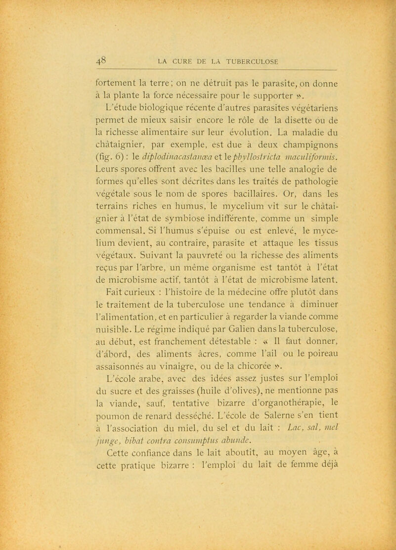 fortement la terre; on ne détruit pas le parasite, on donne à la plante la force nécessaire pour le supporter ». L’étude biologique récente d’autres parasites végétariens permet de mieux saisir encore le rôle de la disette ou de la richesse alimentaire sur leur évolution. La maladie du châtaignier, par exemple, est due à deux champignons (fig. 6) : le diplodiuacastauæa et lephvUostricta maciiliformis. Leurs spores offrent avec les bacilles une telle analogie de formes qu’elles sont décrites dans les traités de pathologie végétale sous le nom de spores bacillaires. Or, dans les terrains riches en humus, le mycélium vit sur le châtai- gnier à l’état de symbiose indifférente, comme un simple commensal. Si l’humus s’épuise ou est enlevé, le mycé- lium devient, au contraire, parasite et attaque les tissus végétaux. Suivant la pauvreté ou la richesse des aliments reçus par l’arbre, un même organisme est tantôt à l’état de microbisme actif, tantôt à l’état de microbisme latent. Fait curieux : l’histoire de la médecine offre plutôt dans le traitement de la tuberculose une tendance à diminuer l’alimentation, et en particulier à regarder la viande comme nuisible. Le régime indiqué par Galien dans la tuberculose, au début, est franchement détestable : « 11 faut donner, d’abord, des aliments âcres, comme l’ail ou le poireau assaisonnés au vinaigre, ou de la chicorée ». L’école arabe, avec des idées assez justes sur l’emploi du sucre et des graisses (huile d’olives), ne mentionne pas la viande, sauf, tentative bizarre d’organothérapie, le poumon de renard desséçhé. L’école de Salerne s’en tient à l’association du miel, du sel et du lait : Lac, soi, mcl jiutgc, bibai contra consiiiiiptiis abiiiidc. Cette confiance dans le lait aboutit, au moyen âge, à cette pratique bizarre : l’emploi du lait de femme déjà