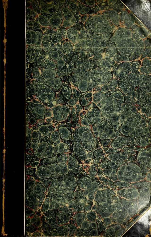 digitised image 1