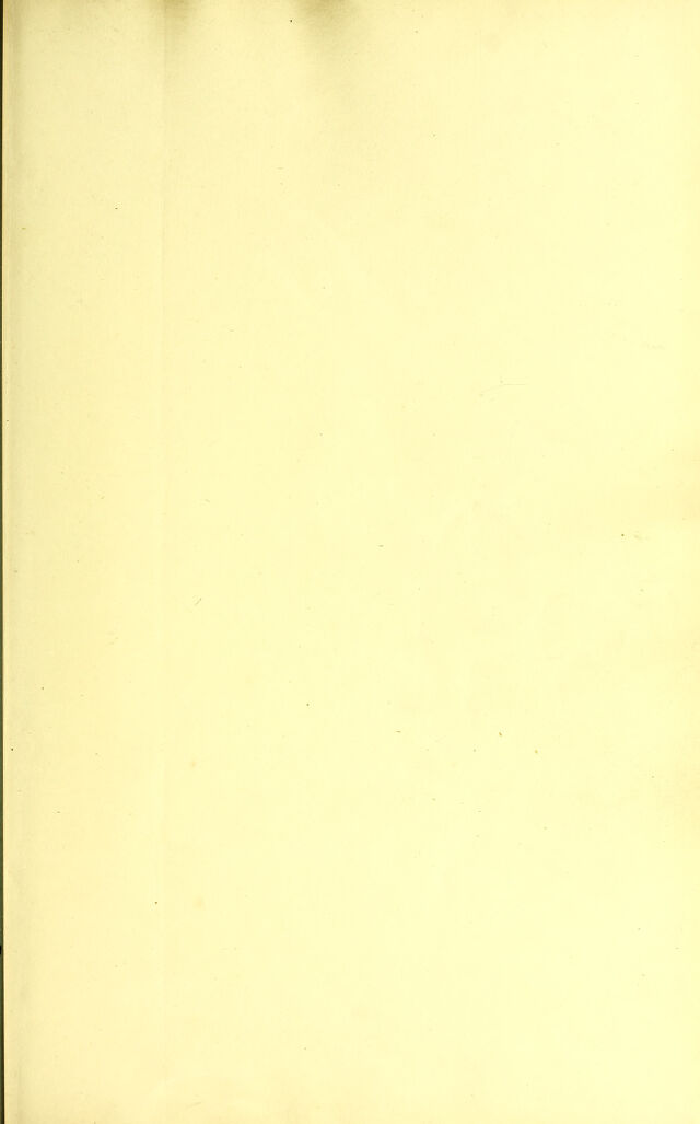 digitised image 3