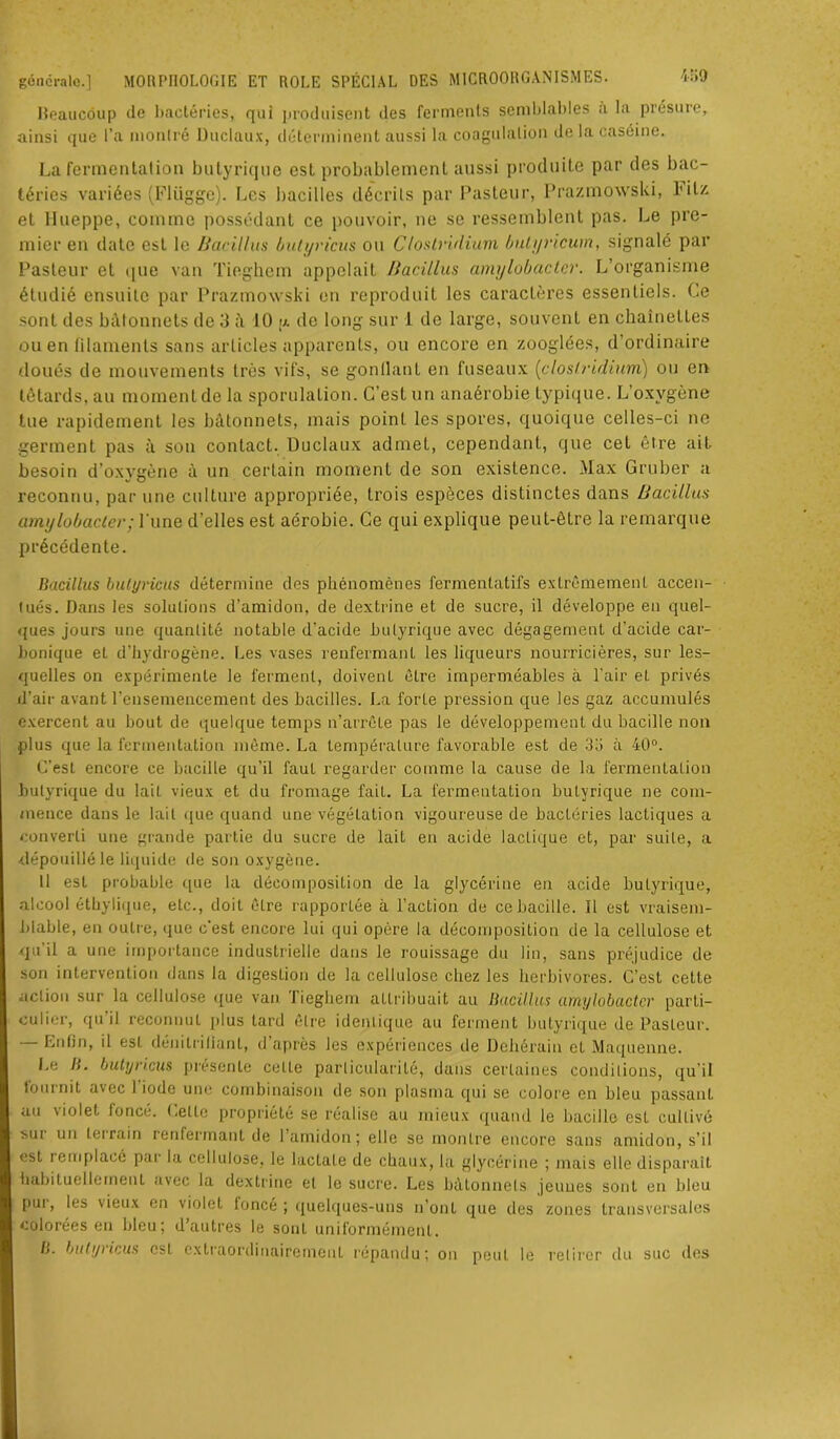 Beaucoup de bactéries, qui produisent des ferments semblables a la présure, ainsi que l’a montré Duclaux, déterminent aussi la coagulation de la caséine. La fermentation butyrique est probablement aussi produite par des bac- téries variées (Flügge). Les bacilles décrits par Pasteur, Prazmoxvski, Fil/, et Hueppe, comme possédant ce pouvoir, ne se ressemblent pas. Le pre- mier en date est le Bacillus butyricus ou Clostridium bulyricurn, signalé par Pasteur et que van Tieghcm appelait Bacillus amylobacter. L’organisme étudié ensuite par Prazmowski en reproduit les caractères essentiels. Ce sont des bâtonnets de 3 10 a de long sur 1 de large, souvent en chaînettes ou en lilaments sans articles apparents, ou encore en zooglées, d’ordinaire doués de mouvements très vifs, se gonflant en fuseaux (clostridium) ou en têtards, au moment de la sporulation. C’est un anaérobie typique. L’oxvgène tue rapidement les bâtonnets, mais point les spores, quoique celles-ci ne germent pas à son contact. Duclaux admet, cependant, que cet être ait besoin d’oxygène à un certain moment de son existence. Max Gruber a reconnu, par une culture appropriée, trois espèces distinctes dans Bacillus amylobacter; l'une d’elles est aérobie. Ce qui explique peut-être la remarque précédente. Bacillus butyricus détermine des phénomènes fermentatifs extrêmement accen- tués. Dans les solutions d’amidon, de dextrine et de sucre, il développe eu quel- ques jours une quantité notable d’acide butyrique avec dégagement d'acide car- bonique et d’hydrogène. Les vases renfermant les liqueurs nourricières, sur les- quelles on expérimente le ferment, doivent être imperméables à l’air et privés d’air avant l’ensemencement des bacilles. La forte pression que les gaz accumulés exercent au bout de quelque temps n’arrête pas le développement du bacille non plus que la fermentation même. La température favorable est de 3o à 40°. C’est encore ce bacille qu’il faut regarder comme la cause de la fermentation butyrique du lait vieux et du fromage fait. La fermentation butyrique ne com- mence dans le lait que quand une végétation vigoureuse de bactéries lactiques a converti une grande partie du sucre de lait en acide lactique et, par suite, a ■dépouillé le liquide de son oxygène. Il est probable que la décomposition de la glycérine en acide butyrique, alcool éthylique, etc., doit être rapportée à l’action de ce bacille. Il est vraisem- blable, en outre, que c'est encore lui qui opère la décomposition de la cellulose et qu'il a une importance industrielle dans le rouissage du lin, sans préjudice de son intervention dans la digestion de la cellulose chez les herbivores. C’est cette action sur la cellulose (pie van fieghem attribuait au Bacillus amylobacter parti- culier, qu il reconnut plus tard être identique au ferment butyrique de Pasteur. Enfin, il est dénitrifiant, d après les expériences de Dchérain et Maquenne. Le B. butyricus présente cette particularité, dans certaines conditions, qu’il lournit avec 1 iode une combinaison de son plasma qui se colore en bleu passant au violet foncé. Cette propriété se réalise au mieux quand le bacille est cultivé sui un terrain renfermant de l’amidon; elle se montre encore sans amidon, s’il est lemplacc par la cellulose, le lactate de chaux, la glycérine ; mais elle disparait habituellement avec la dextrine et le sucre. Les bâtonnets jeunes sont en bleu pui, les vieux en violet loncé ; quelques-uns n’ont que des zones transversales colorées en bleu; d’autres le sont uniformément. B. butyiicus est extraordinairement répandu; on peut le retirer du suc des