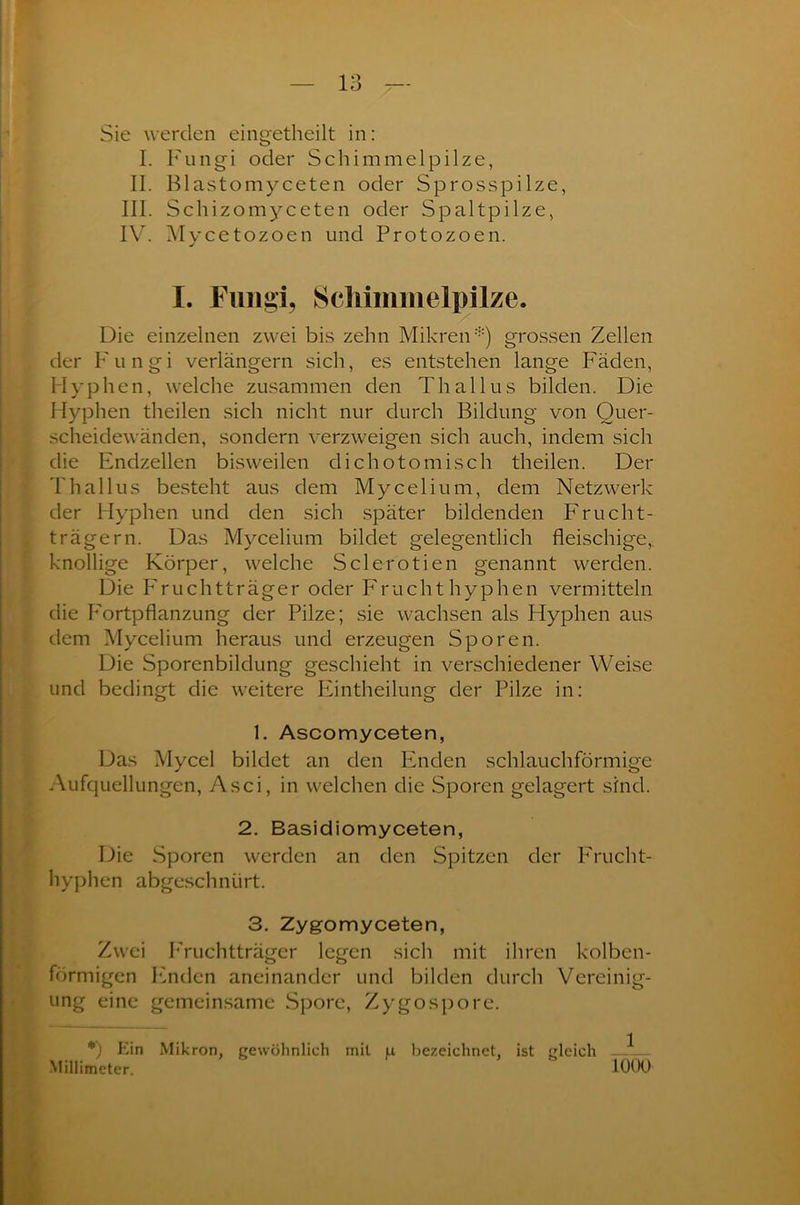 Sie werden eingetheilt in: I. Fungi oder Schimmelpilze, II. Blastomyceten oder Sprosspilze, III. Schizomyceten oder Spaltpilze, IV. Mycetozoen und Protozoen. I. Fungi, Sclrinimeli)ilze. Die einzelnen zwei bis zehn Mikren *) grossen Zellen der Fungi verlängern sich, es entstehen lange Fäden, Hyphen, welche zusammen den Thallus bilden. Die Hyphen theilen sich nicht nur durch Bildung von Ouer- scheidewänden, sondern verzweigen sich auch, indem sich die Endzeilen bisweilen dichotomisch theilen. Der Thallus besteht aus dem Mycelium, dem Netzwerk der Hyphen und den sich später bildenden Frucht- trägern. Das Mycelium bildet gelegentlich fleischige, knollige Körper, welche Sclerotien genannt werden. Die Fruchtträger oder Fruchthyphen vermitteln die Fortpflanzung der Pilze; sie wachsen als Hyphen aus dem Mycelium heraus und erzeugen Sporen. Die Sporenbildung geschieht in verschiedener Weise und bedingt die weitere Eintheilung der Pilze in: 1. Ascomyceten, Das Mycel bildet an den Enden schlauchförmige Aufquellungen, Asci, in welchen die Sporen gelagert sind. 2. Basidiomyceten, Die Sporen werden an den Spitzen der Frucht- hyphen abgeschnürt. 3. Zygomyceten, Zwei Fruchtträger legen sich mit ihren kolben- förmigen binden aneinander und bilden durch Vereinig- ung eine gemeinsame Spore, Zygospore. *) Ein Mikron, gewöhnlich rnil u bezeichnet, ist gleich Millimeter. 1000