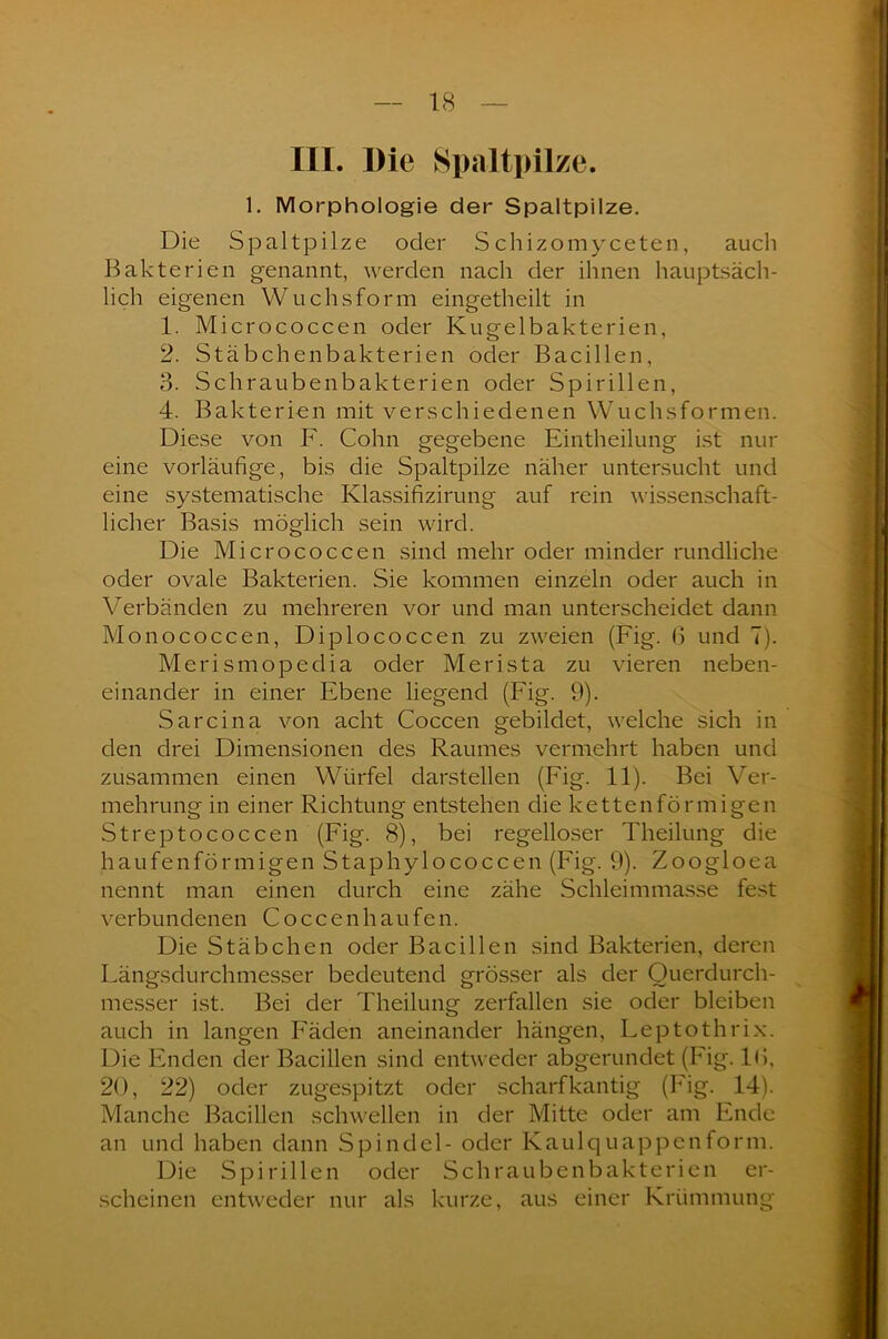 III. Die Spaltpilze. 1. Morphologie der Spaltpilze. Die Spaltpilze oder S chizomyceten, auch Bakterien genannt, werden nach der ihnen hauptsäch- lich eigenen Wuchsform eingetheilt in 1. Micrococcen oder Kugelbakterien, 2. Stäbchenbakterien oder Bacillen, 3. Schraubenbakterien oder Spirillen, 4. Bakterien mit verschiedenen Wuchsformen. Diese von F. Cohn gegebene Eintheilung ist nur eine vorläufige, bis die Spaltpilze näher untersucht und eine systematische Klassifizirung auf rein wissenschaft- licher Basis möglich sein wird. Die Micrococcen sind mehr oder minder rundliche oder ovale Bakterien. Sie kommen einzeln oder auch in Verbänden zu mehreren vor und man unterscheidet dann Monococcen, Diplococcen zu zweien (Fig. 6 und 7). Merismopedia oder Merista zu vieren neben- einander in einer Ebene liegend (Fig. 9). Sarcina von acht Coccen gebildet, welche sich in den drei Dimensionen des Raumes vermehrt haben und zusammen einen Würfel darstellen (Fig. 11). Bei Ver- mehrung in einer Richtung entstehen die kettenförmigen Streptococcen (Fig. 8), bei regelloser Theilung die haufenförmigen Staphylococcen (Fig. 9). Zoogloea nennt man einen durch eine zähe Schleimmasse fest verbundenen C o cc en h au fe n. Die Stäbchen oder Bacillen sind Bakterien, deren Längsdurchmesser bedeutend grösser als der Querdurch- messer ist. Bei der Theilung zerfallen sie oder bleiben auch in langen Fäden aneinander hängen, Leptothrix. Die Enden der Bacillen sind entweder abgerundet (Fig. l(i, 20, 22) oder zugespitzt oder scharfkantig (I'ig. 14). Manche Bacillen schwellen in der Mitte oder am Ende an und haben dann Spindel- oder Kaulquappenform. Die Spirillen oder Schraubenbakterien er- scheinen entweder nur als kurze, aus einer Krümmung