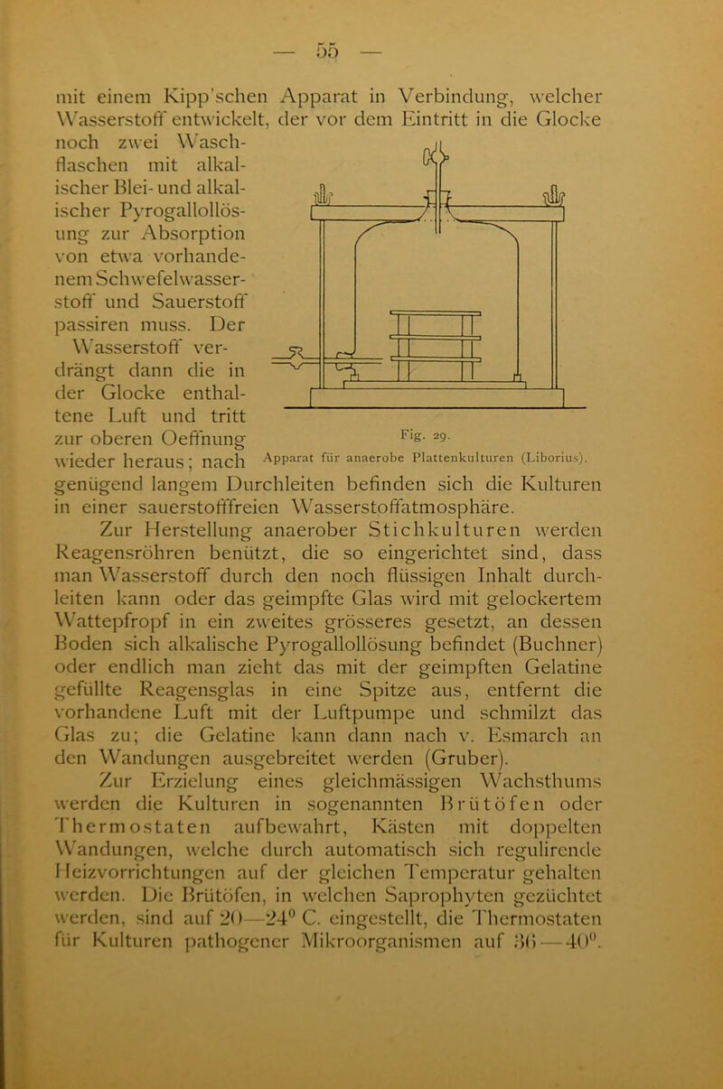 00 mit einem Kipp’schen Apparat in Verbindung, welcher Wasserstoff entwickelt, der vor dem Eintritt in die Glocke noch zwei W asch- flaschen mit alkal- ischer Blei- und alkal- ischer Pyrogallollös- ung zur Absorption von etwa vorhande- nem Schwefelwasser- stoff und Sauerstoff passiren muss. Der Wasserstoff ver- drängt dann die in der Glocke enthal- tene Luft und tritt zur oberen Oeffnung wieder heraus; nach genügend langem Durchleiten Fig. 29. Apparat für anaerobe Plattenkulturen (Liborius). befinden sich die Kulturen in einer sauerstofffreien Wasserstoffatmosphäre. Zur Herstellung anaerober Stichkulturen werden Reagensröhren benützt, die so eingerichtet sind, dass man Wasserstoff durch den noch flüssigen Inhalt durch- leiten kann oder das geimpfte Glas wird mit gelockertem Wattepfropf in ein zweites grösseres gesetzt, an dessen Boden sich alkalische Pyrogallollösung befindet (Büchner) oder endlich man zieht das mit der geimpften Gelatine gefüllte Reagensglas in eine Spitze aus, entfernt die vorhandene Luft mit der Luftpumpe und schmilzt das Glas zu; die Gelatine kann dann nach v. Esmarch an den Wandungen ausgebreitet werden (Gruber). Zur Erzielung eines gleichmässigen Wachsthums werden die Kulturen in sogenannten Brütöfen oder Thermostaten aufbewahrt, Kästen mit doppelten Wandungen, welche durch automatisch sich regulirende 1 leizvorrichtungen auf der gleichen Temperatur gehalten werden. Die Brütöfen, in welchen Saprophvten gezüchtet werden, sind auf 20—24° C. eingestellt, die Thermostaten für Kulturen pathogener Mikroorganismen auf 30 — 40°.