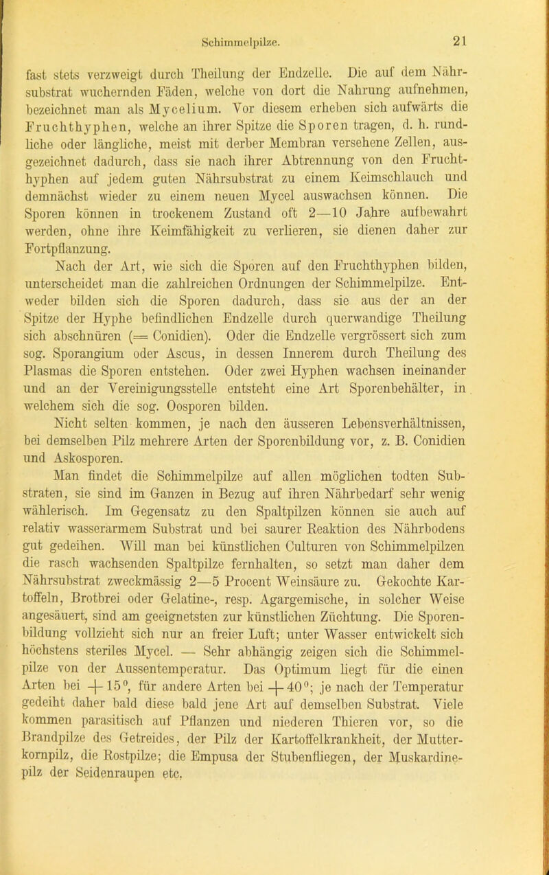 fast stets verzweigt durch Theilung der Endzeile. Die auf dem Nähr- substrat wuchernden Fäden, welche von dort die Nahrung auinehmen, bezeichnet man als Mycelium. Vor diesem erheben sich aufwärts die Fruchthyphen, welche an ihrer Spitze die Sporen tragen, d. h. rund- liche oder längliche, meist mit derber Membran versehene Zellen, aus- gezeichnet dadurch, dass sie nach ihrer Abtrennung von den Frucht- hyphen auf jedem guten Nährsubstrat zu einem Keimschlauch und demnächst wieder zu einem neuen Mycel auswachsen können. Die Sporen können in trockenem Zustand oft 2—10 Jahre aufbewahrt werden, ohne ihre Keimfähigkeit zu verlieren, sie dienen daher zur Fortpflanzung. Nach der Art, wie sich die Sporen auf den Fruchthyphen bilden, unterscheidet man die zahlreichen Ordnungen der Schimmelpilze. Ent- weder bilden sich die Sporen dadurch, dass sie aus der an der Spitze der Hyphe befindlichen Endzeile durch querwandige Theilung sich abschnüren (= Conidien). Oder die Endzeile vergrössert sich zum sog. Sporangium oder Ascus, in dessen Innerem durch Theilung des Plasmas die Sporen entstehen. Oder zwei Hyphen wachsen ineinander und an der Vereinigungsstelle entsteht eine Art Sporenbehälter, in welchem sich die sog. Oosporen bilden. Nicht selten kommen, je nach den äusseren Lebensverhältnissen, bei demselben Pilz mehrere Arten der Sporenbildung vor, z. B. Conidien und Askosporen. Man findet die Schimmelpilze auf allen möglichen todten Sub- straten, sie sind im Ganzen in Bezug auf ihren Nährbedarf sehr wenig wählerisch. Im Gegensatz zu den Spaltpilzen können sie auch auf relativ wasserarmem Substrat und bei saurer Reaktion des Nährbodens gut gedeihen. Will man bei künstlichen Cnlturen von Schimmelpilzen die rasch wachsenden Spaltpilze fernhalten, so setzt man daher dem Nährsubstrat zweckmässig 2—5 Procent Weinsäure zu. Gekochte Kar- toffeln, Brotbrei oder Gelatine-, resp. Agargemische, in solcher Weise angesäuert, sind am geeignetsten zur künstlichen Züchtung. Die Sporen- bildung vollzieht sich nur an freier Luft; unter Wasser entwickelt sich höchstens steriles Mycel. — Sehr abhängig zeigen sich die Schimmel- pilze von der Aussentemporatur. Das Optimum liegt für die einen Arten bei —(— 15°, für andere Arten bei -\- 40°; je nach der Temperatur gedeiht daher bald diese bald jene Art auf demselben Substrat. Viele kommen parasitisch auf Pflanzen und niederen Thieren vor, so die Brandpilze des Getreides, der Pilz der Kartoffelkrankheit, der Mutter- kompilz, die Rostpilze; die Empusa der Stubenlüegen, der Muskardine- pilz der Seidenraupen etc,