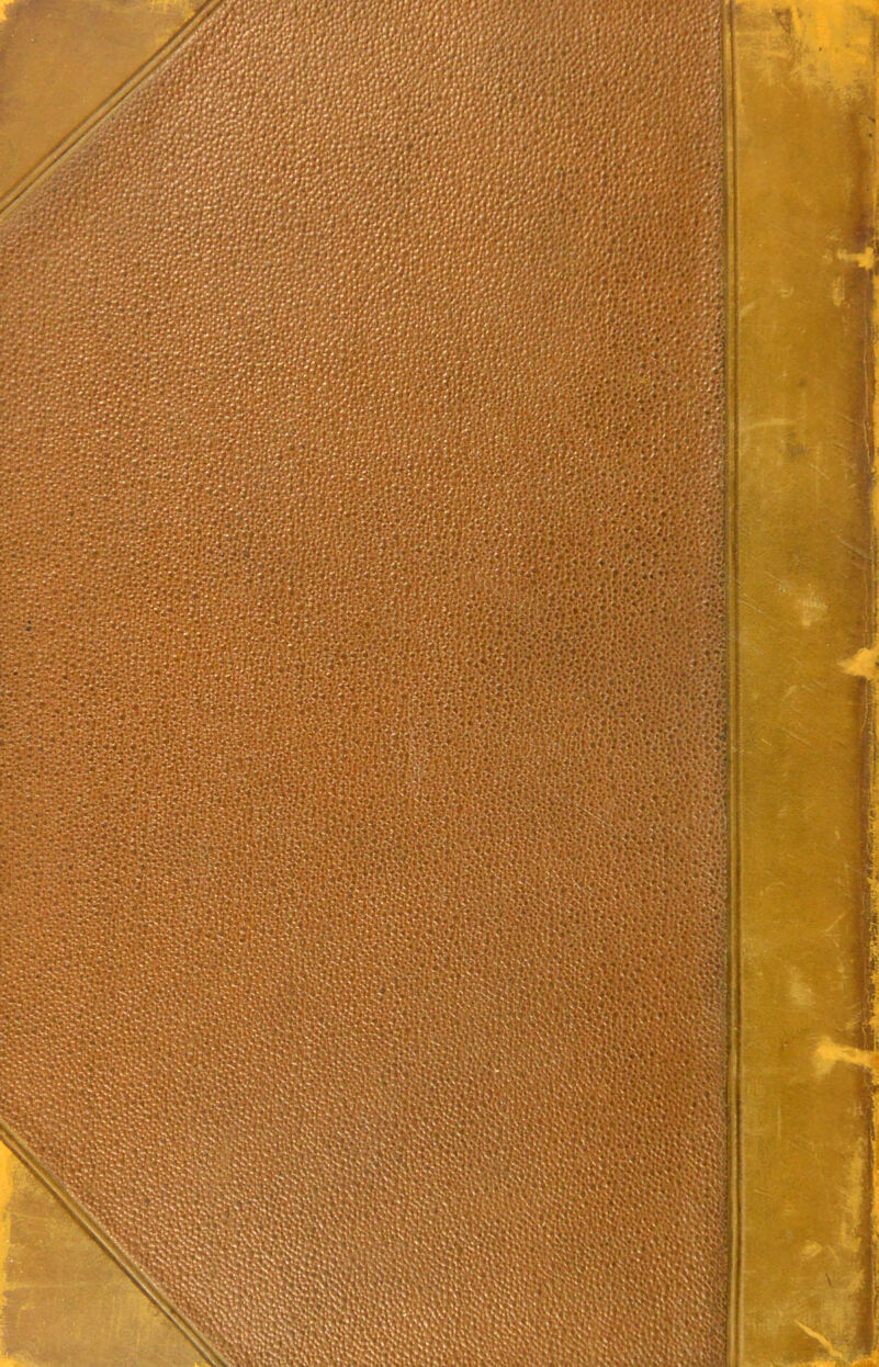 |» - P>V» «•*'-rx-.