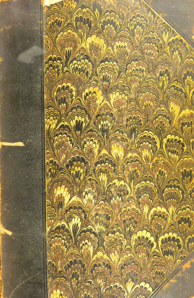 No text description is available for this image