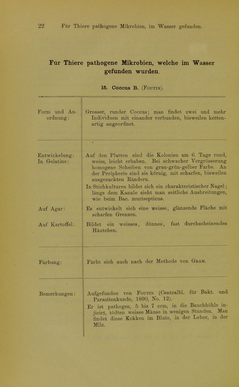 Für Thiere pathogene Mikrohien, welche im Wasser gefunden wurden. 15. Coccus B. (Foutin). Form und An- ordnung : Grosser, runder Coccus; man findet zwei und mehr Individuen mit einander verbunden, bisweilen ketten- artig angeordnet. Entwickelung: In Gelatine: • Auf den Platten sind die Kolonien am 6. Tage rund, weiss, leicht erhaben. Bei schwacher Vergrösserung homogene Scheiben von grau-grün-gelber Farbe. An der Peripherie sind sie körnig, mit scharfen, bisweilen ausgezackten Rändern. In Stichkulturen bildet sich ein charakteristischer Nagel; längs dem Kanäle sieht man seitliche Ausbreitungen, wie beim Bac. murisepticus. Auf Agar: Es entwickelt sich eine weisse, glänzende Fläche mit scharfen Grenzen. Auf K artoffel: Bildet ein weisses, dünnes, fast durchscheinendes Häutchen. Färbung: Färbt sich auch nach der Methode von Gram. Bemerkungen: Aufgefunden von Foutin (Centralbl. für Bakt. und Parasitenkunde, 1890, No. 12). Er ist pathogen, 5 bis 7 ccm, in die Bauchhöhle in- jicirt, tödten weisse Mäuse in wenigen Stunden. Man 'findet diese Kokken im Blute, in der Leber, in der Milz.